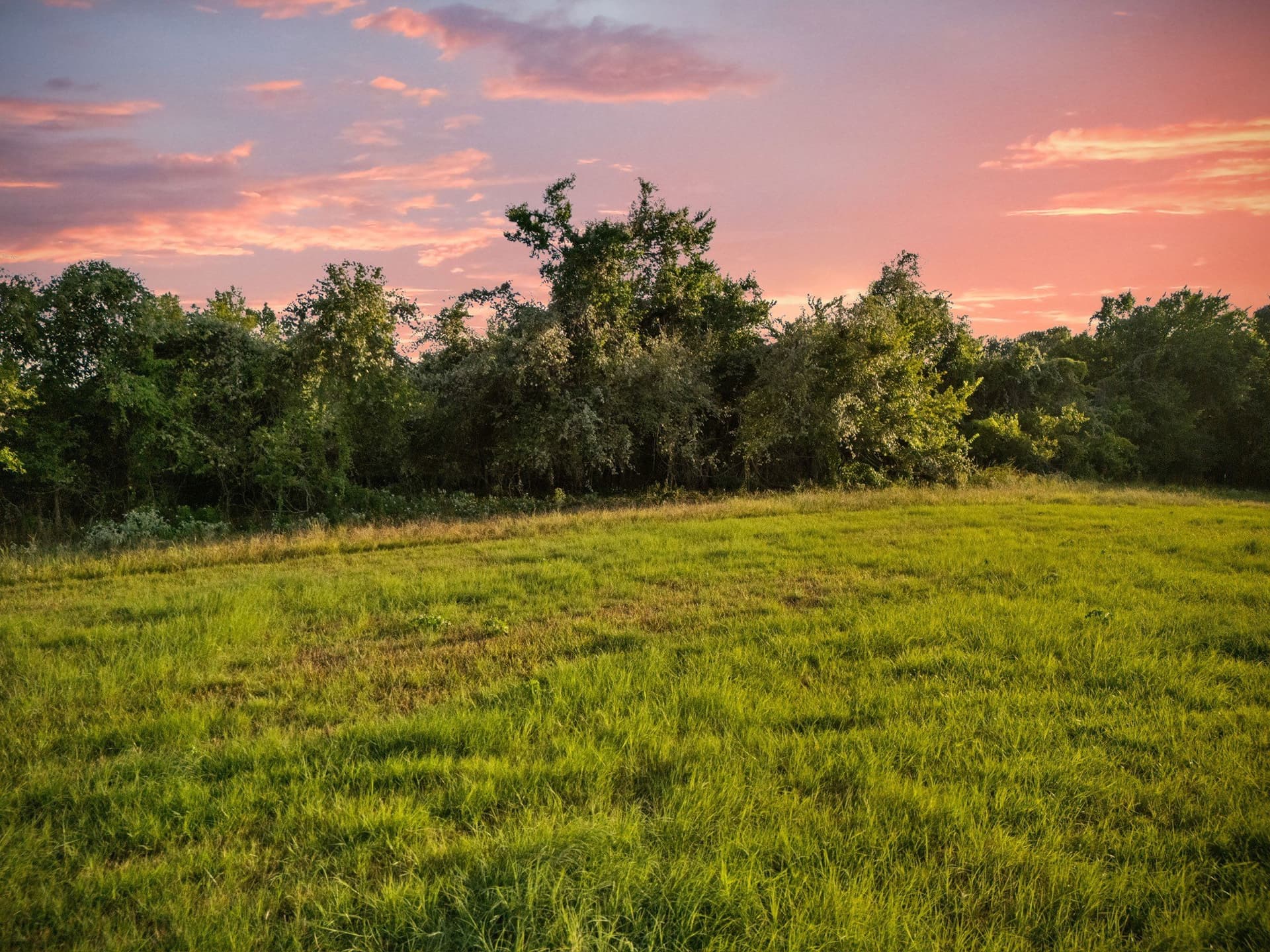 7 acres in McLennan County - photo 7