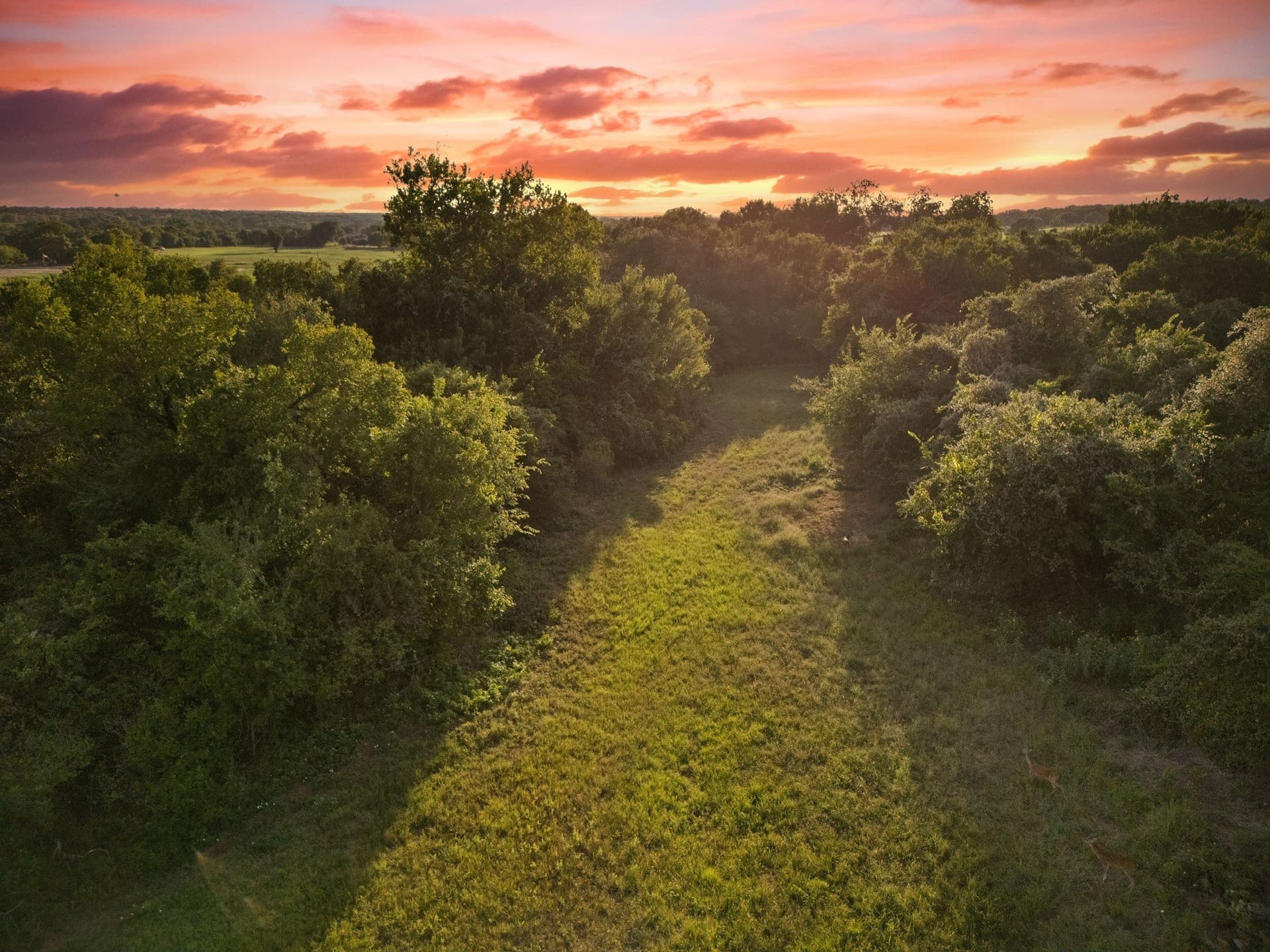 7 acres in McLennan County - photo 5