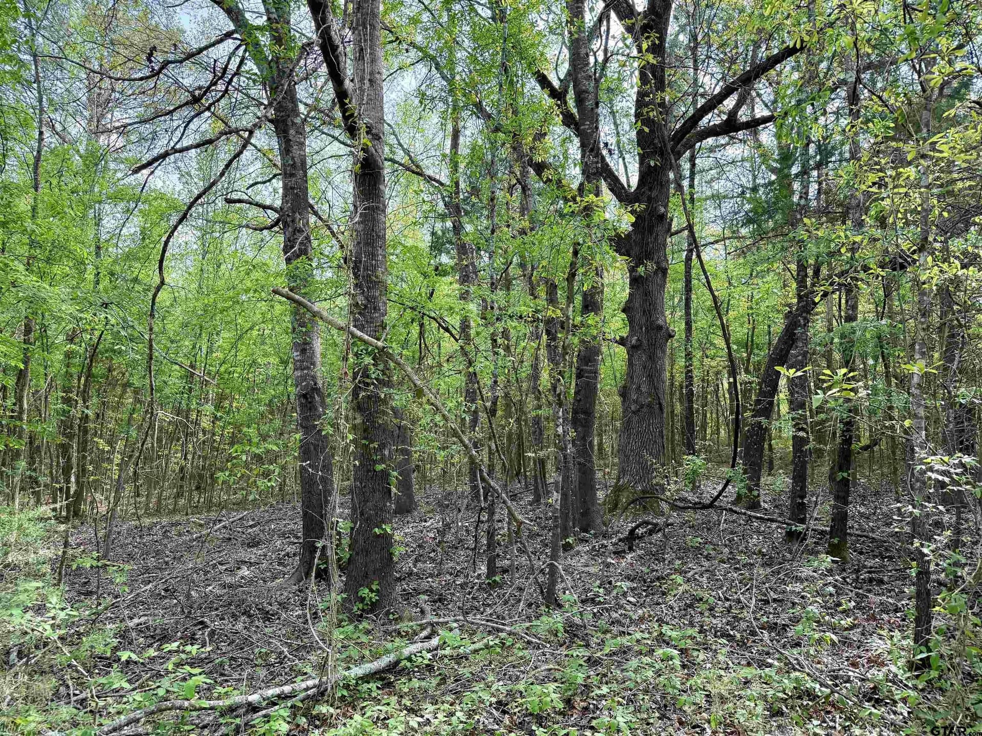 6.7 acres in Franklin County featured view
