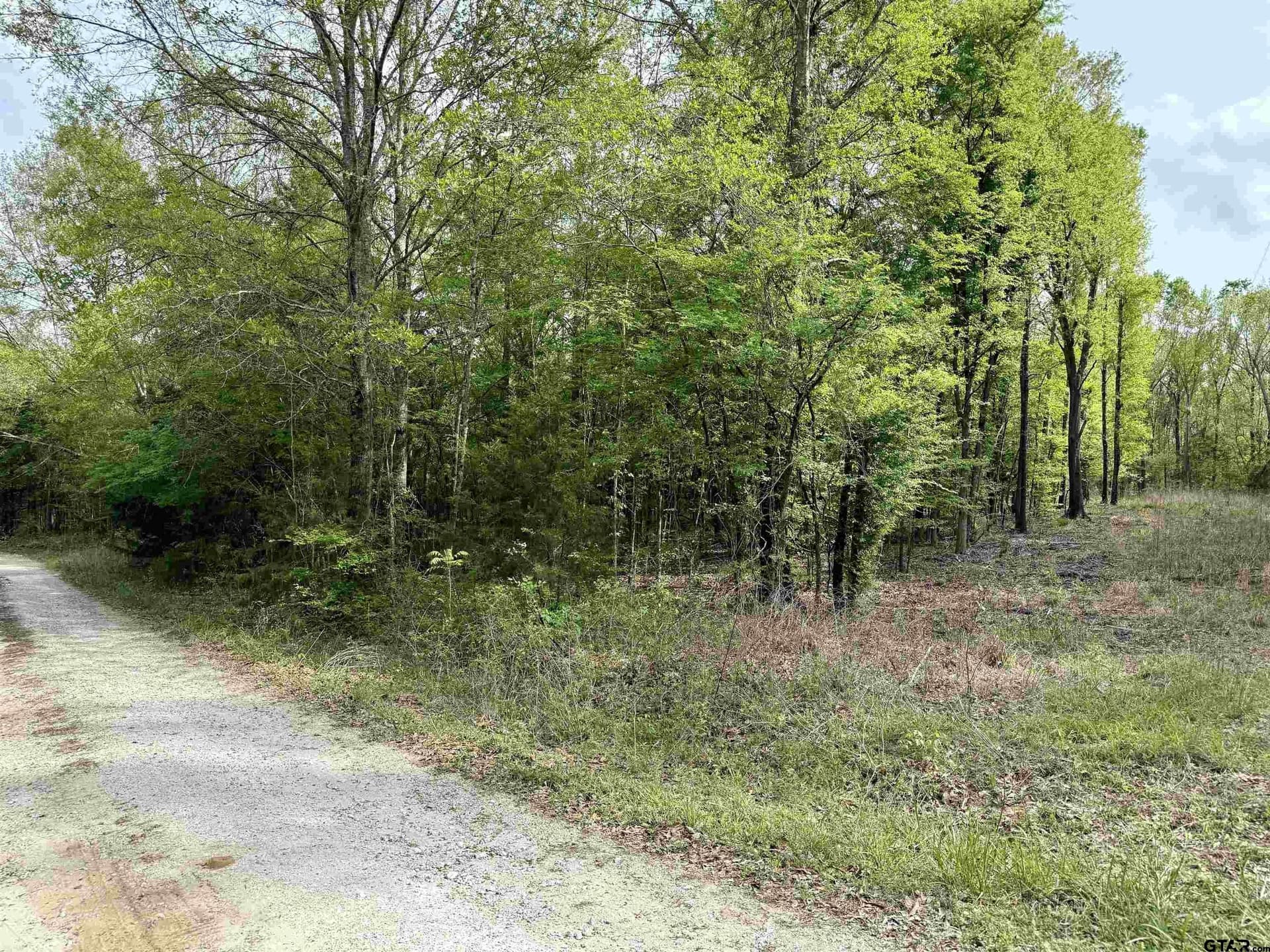 6.7 acres in Franklin County gallery image 4