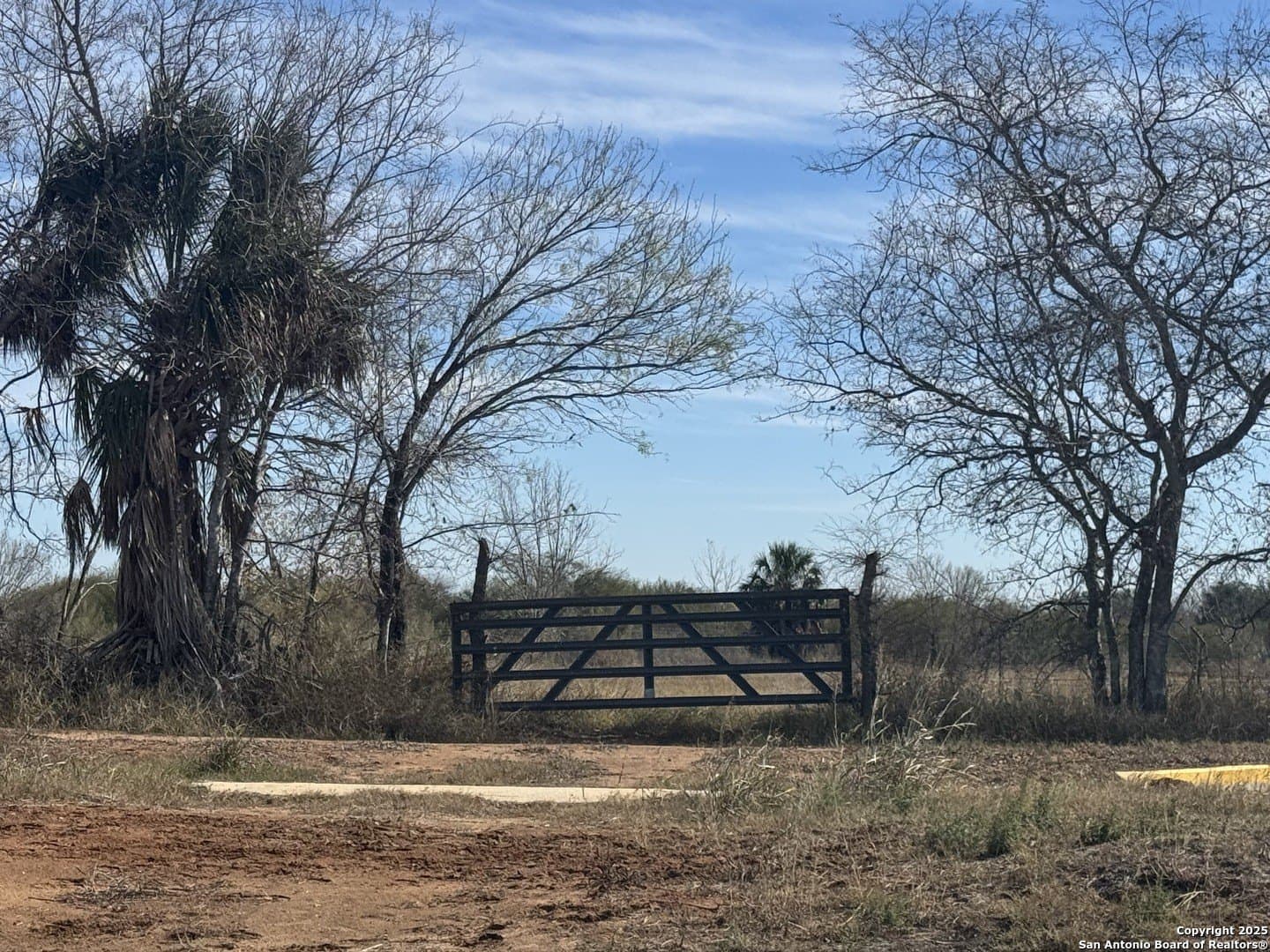 2.5 acres in Bexar County - photo 7