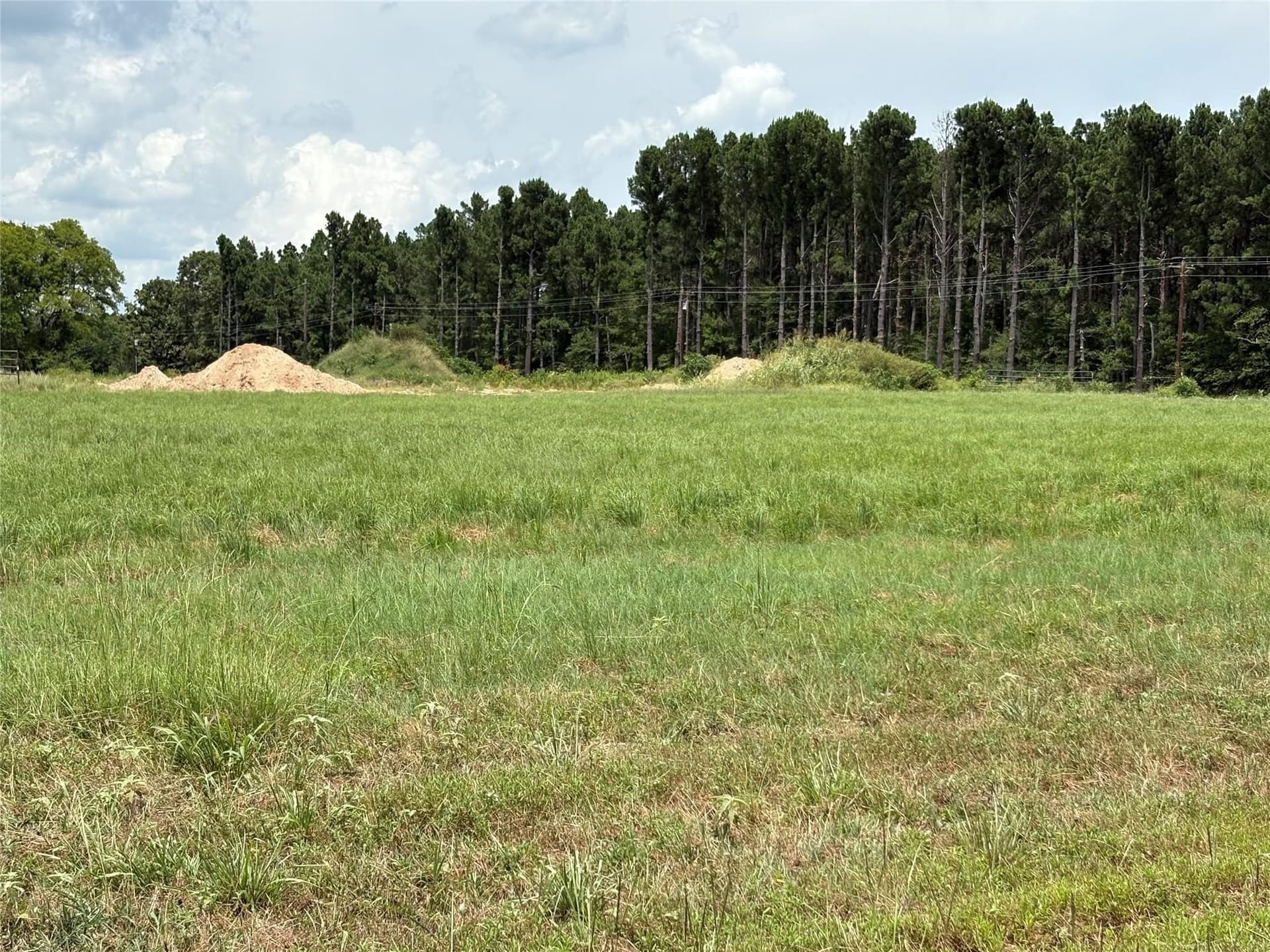 1.01 acres in Wood County - photo 6
