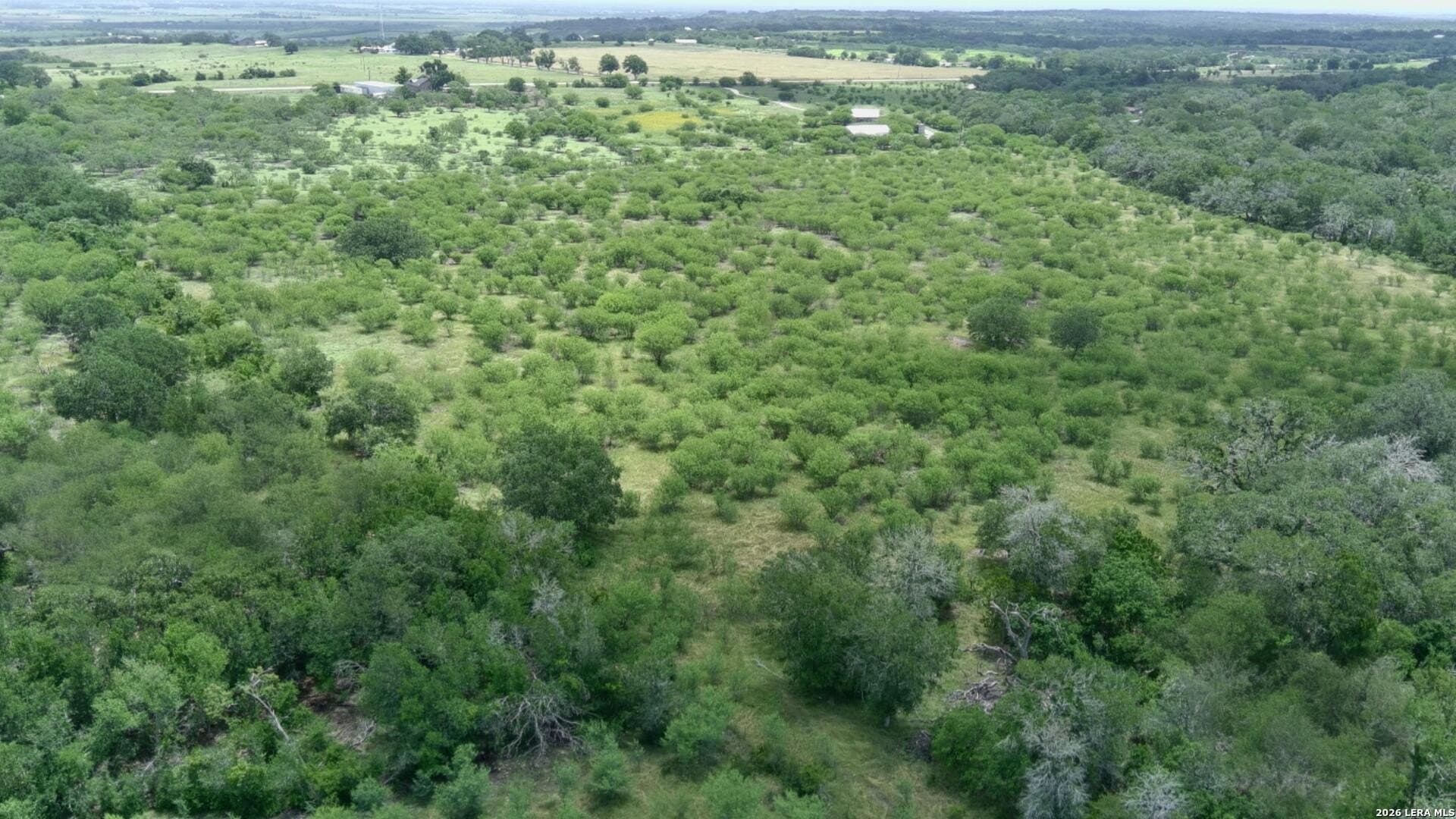 15 acres in Guadalupe County gallery image 3