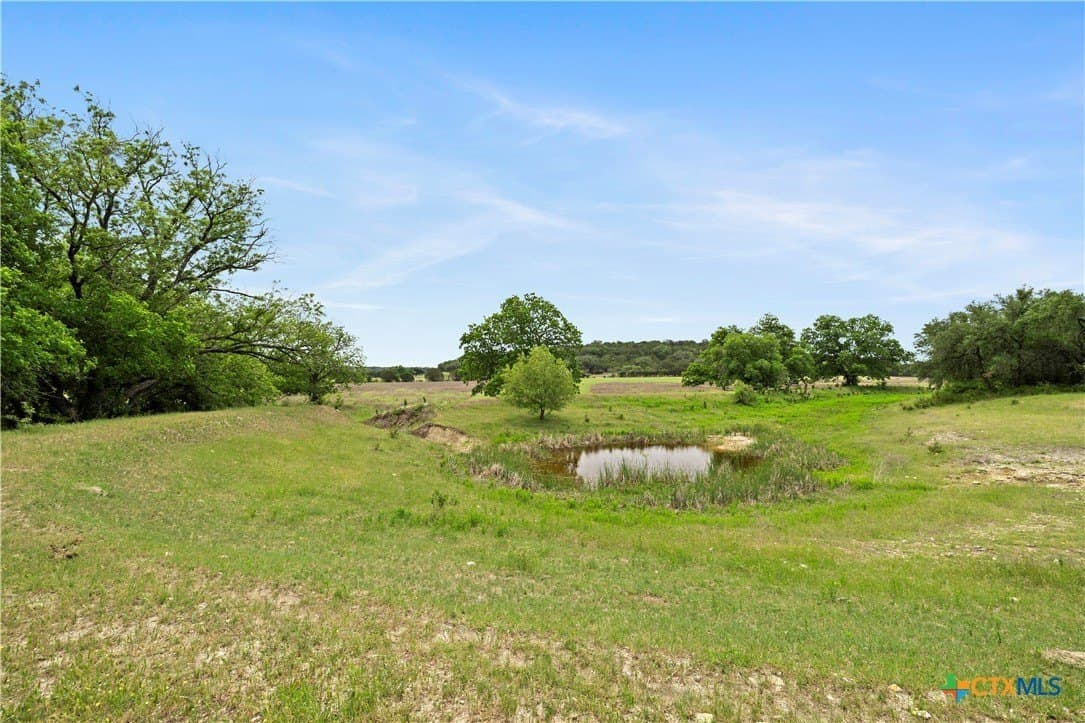 328.4 acres in Coryell County gallery image 4