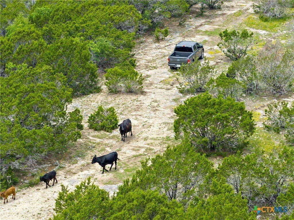 328.4 acres in Coryell County - photo 17