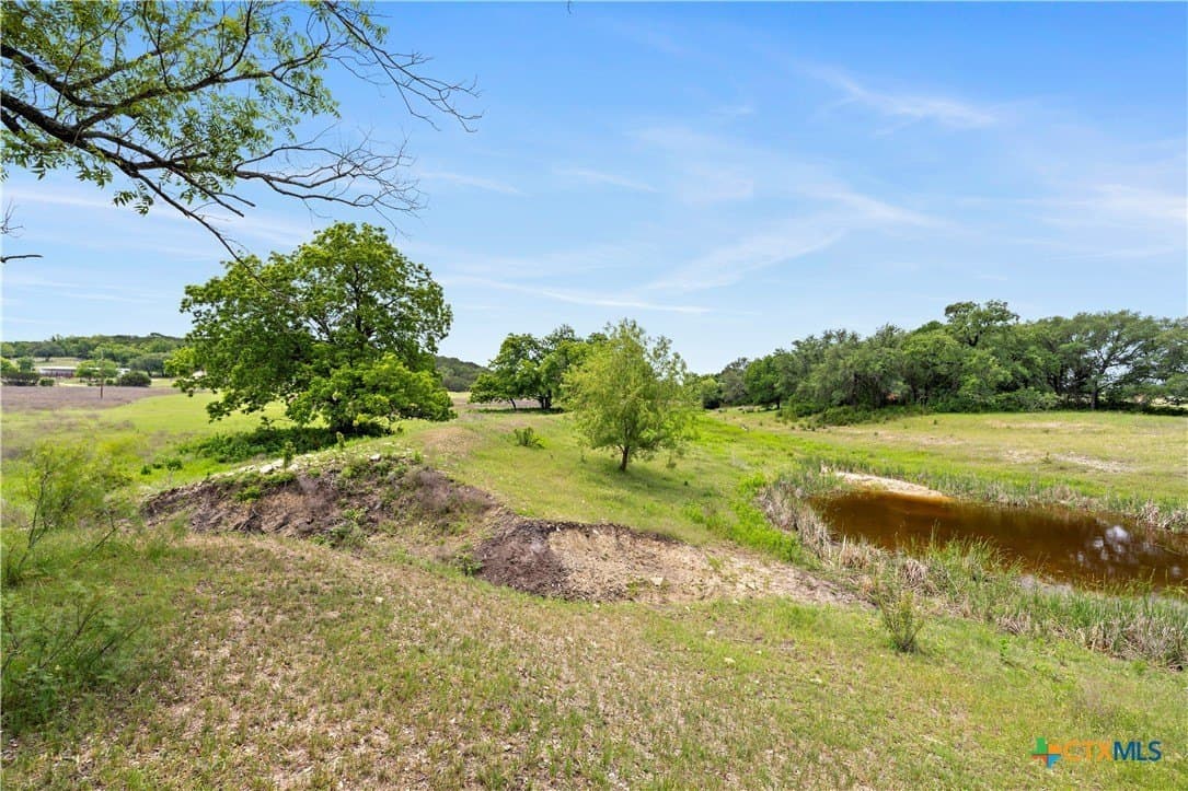 328.4 acres in Coryell County gallery image 3