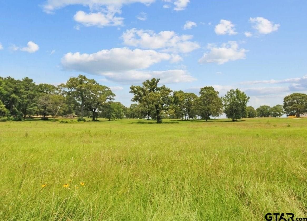5 acres in Upshur County gallery image 3