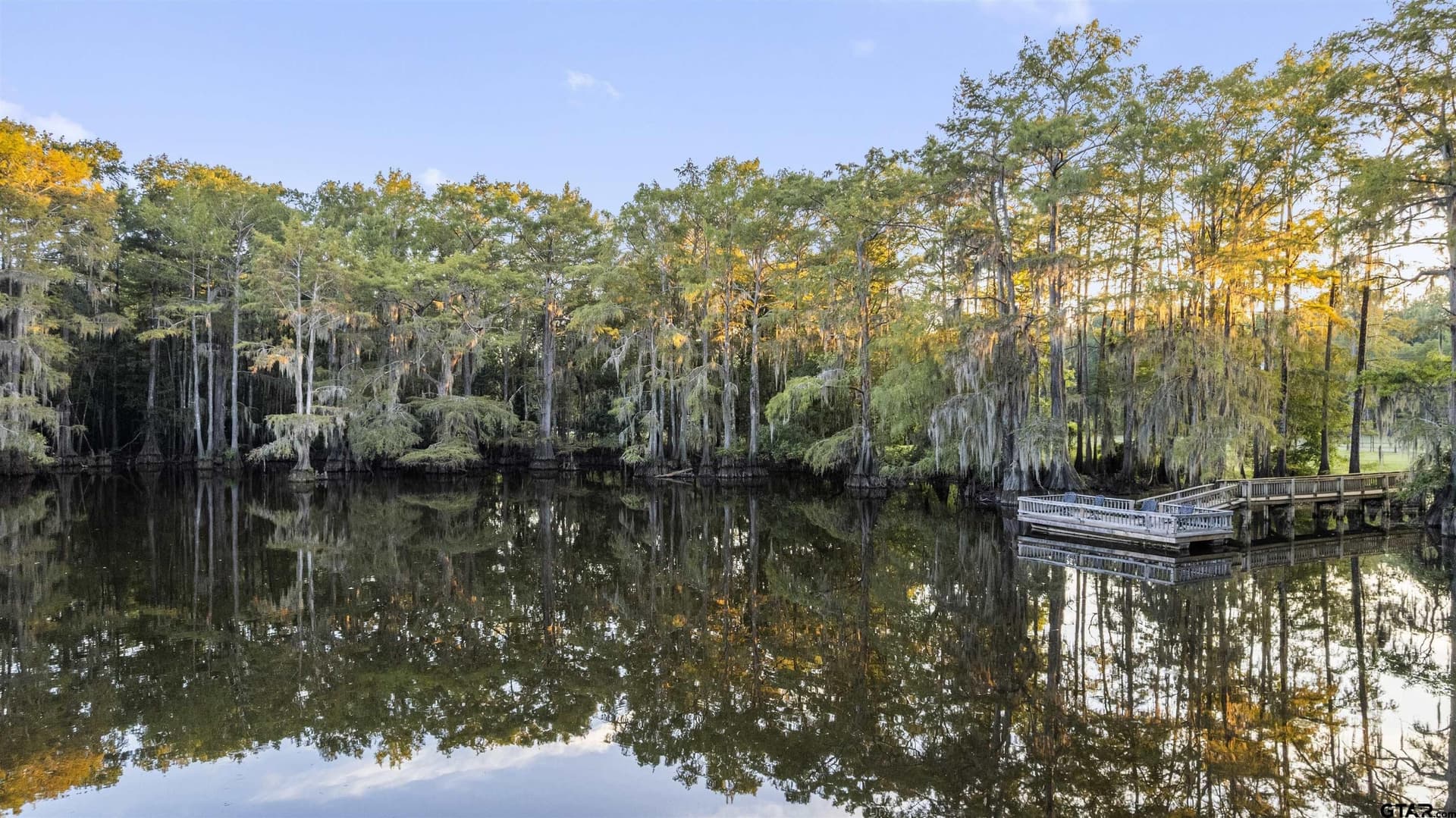 32 acres in Marion County - photo 45