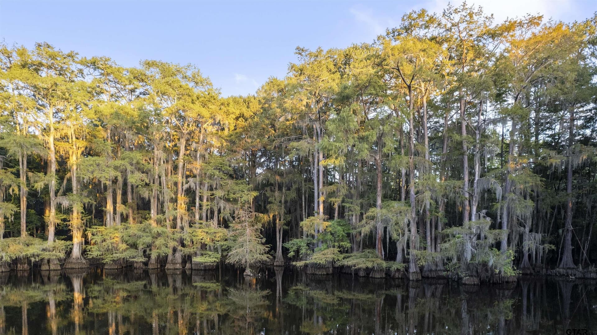 32 acres in Marion County - photo 46