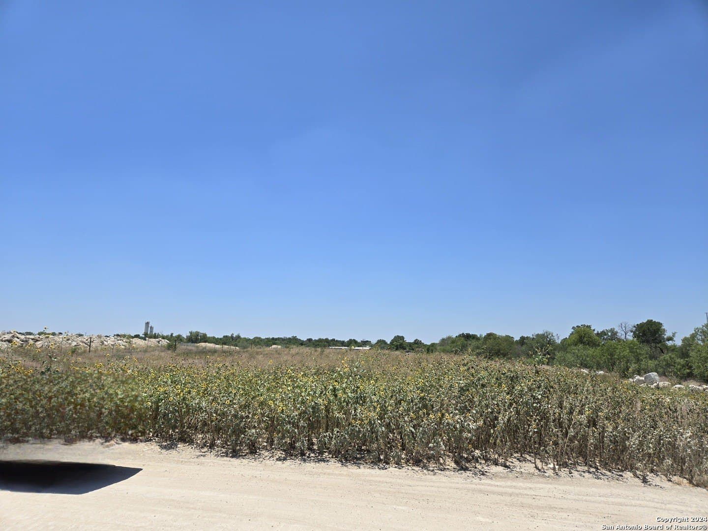 5.58 acres in Bexar County - photo 6