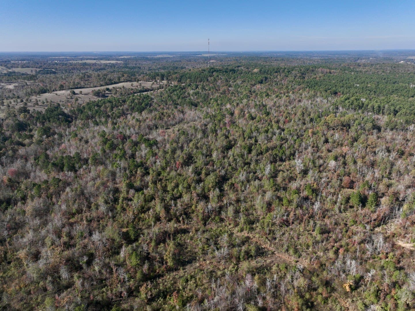 44 acres in Smith County - photo 10