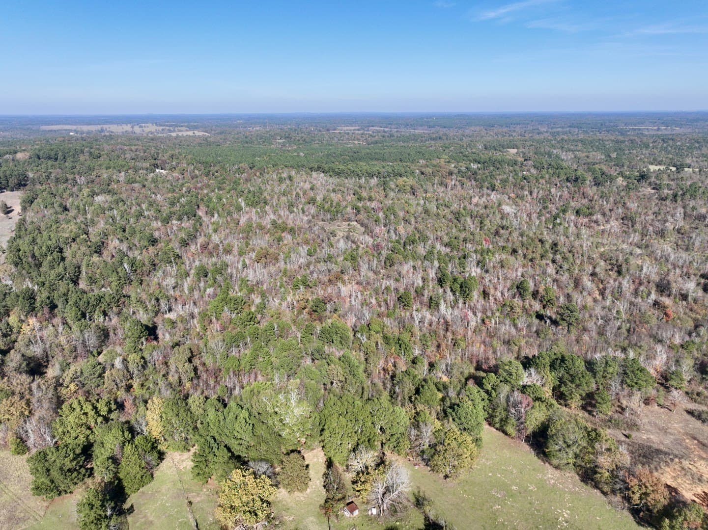 44 acres in Smith County - photo 2
