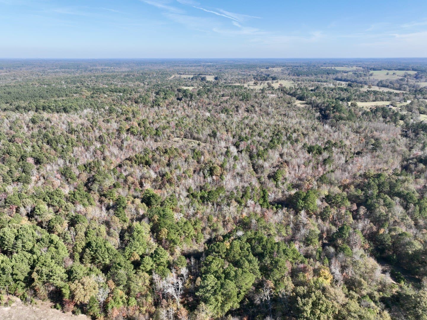 44 acres in Smith County - photo 5