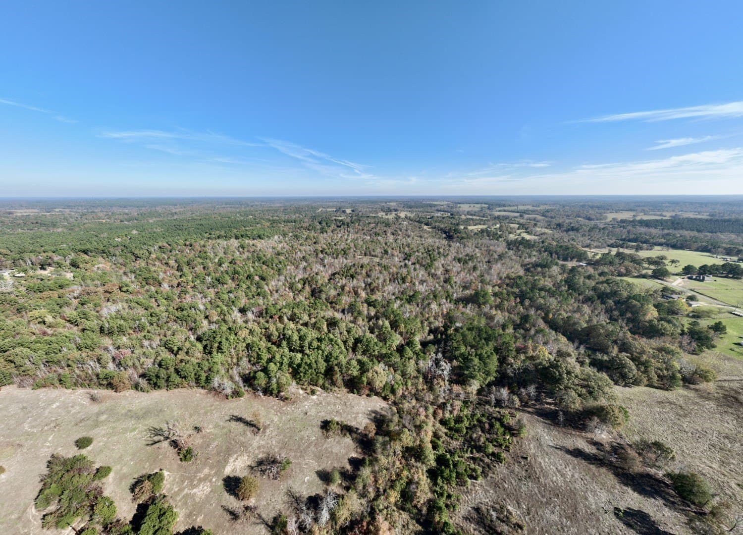 44 acres in Smith County - photo 9