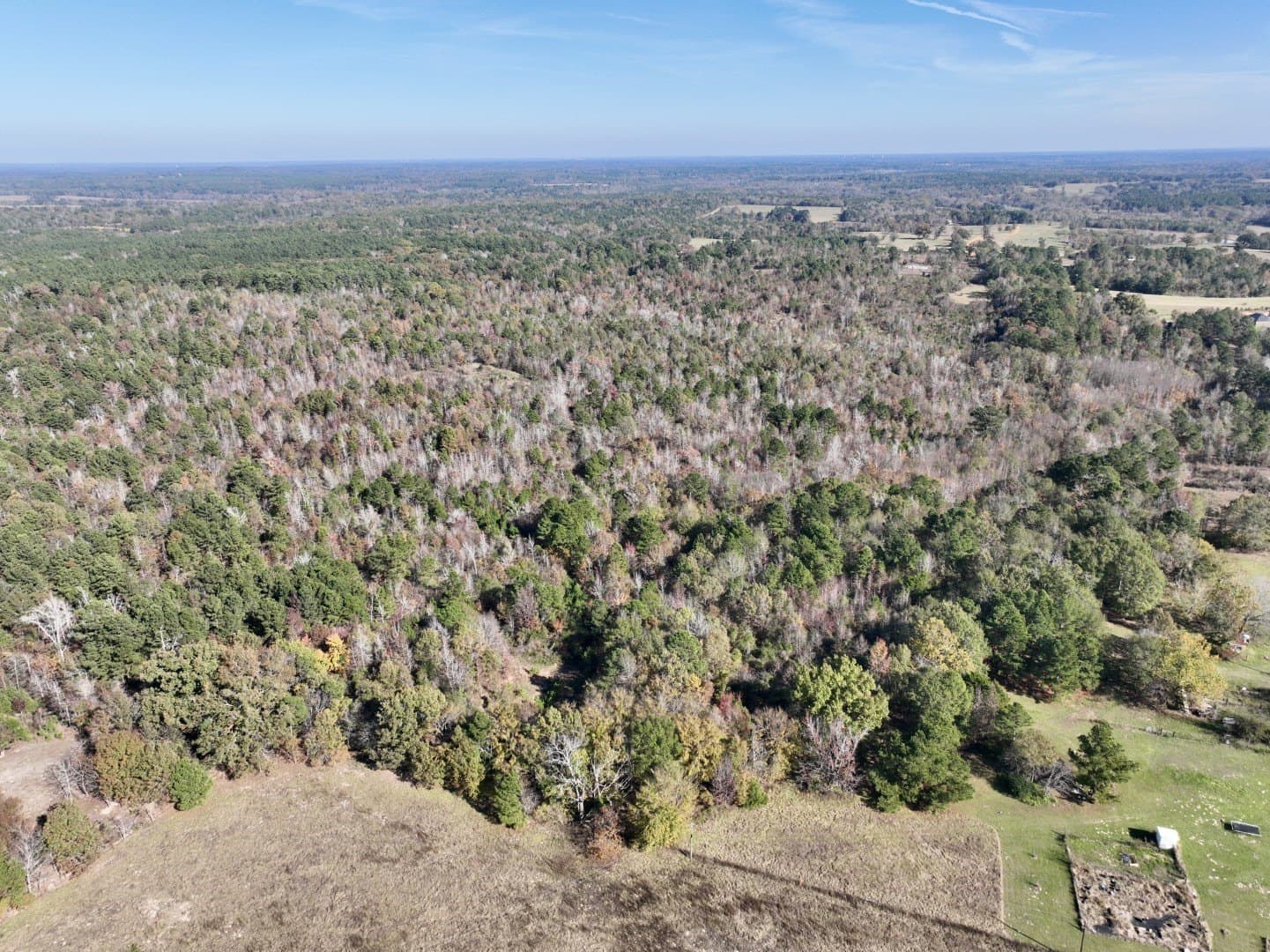 44 acres in Smith County - photo 3