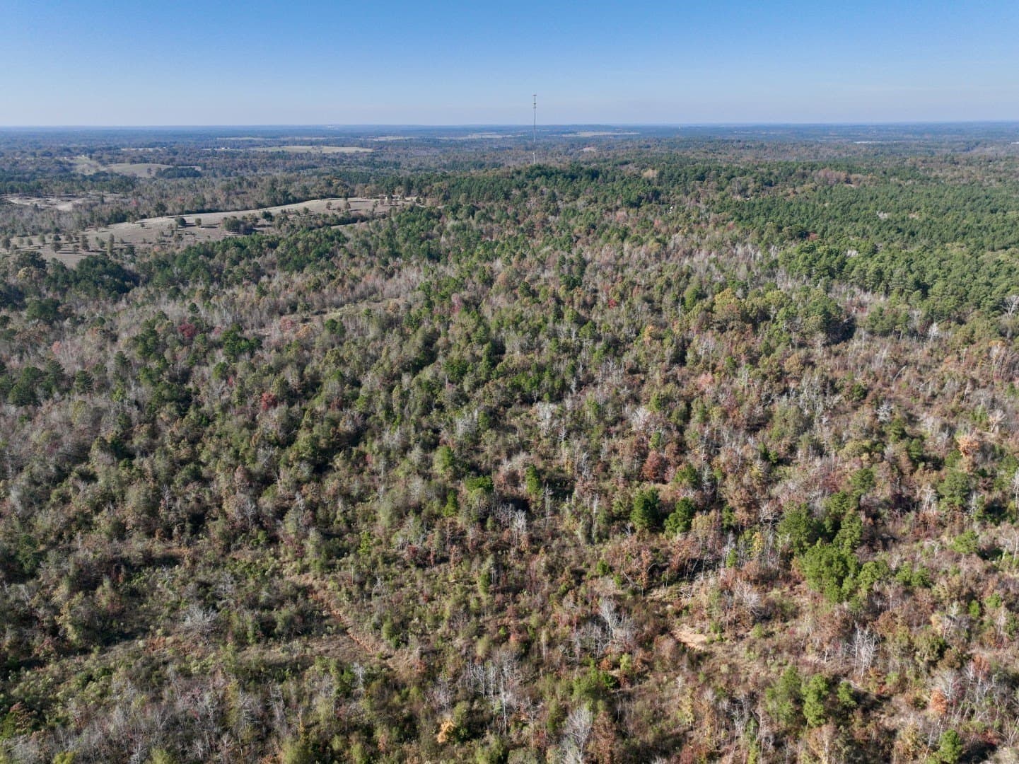44 acres in Smith County - photo 6