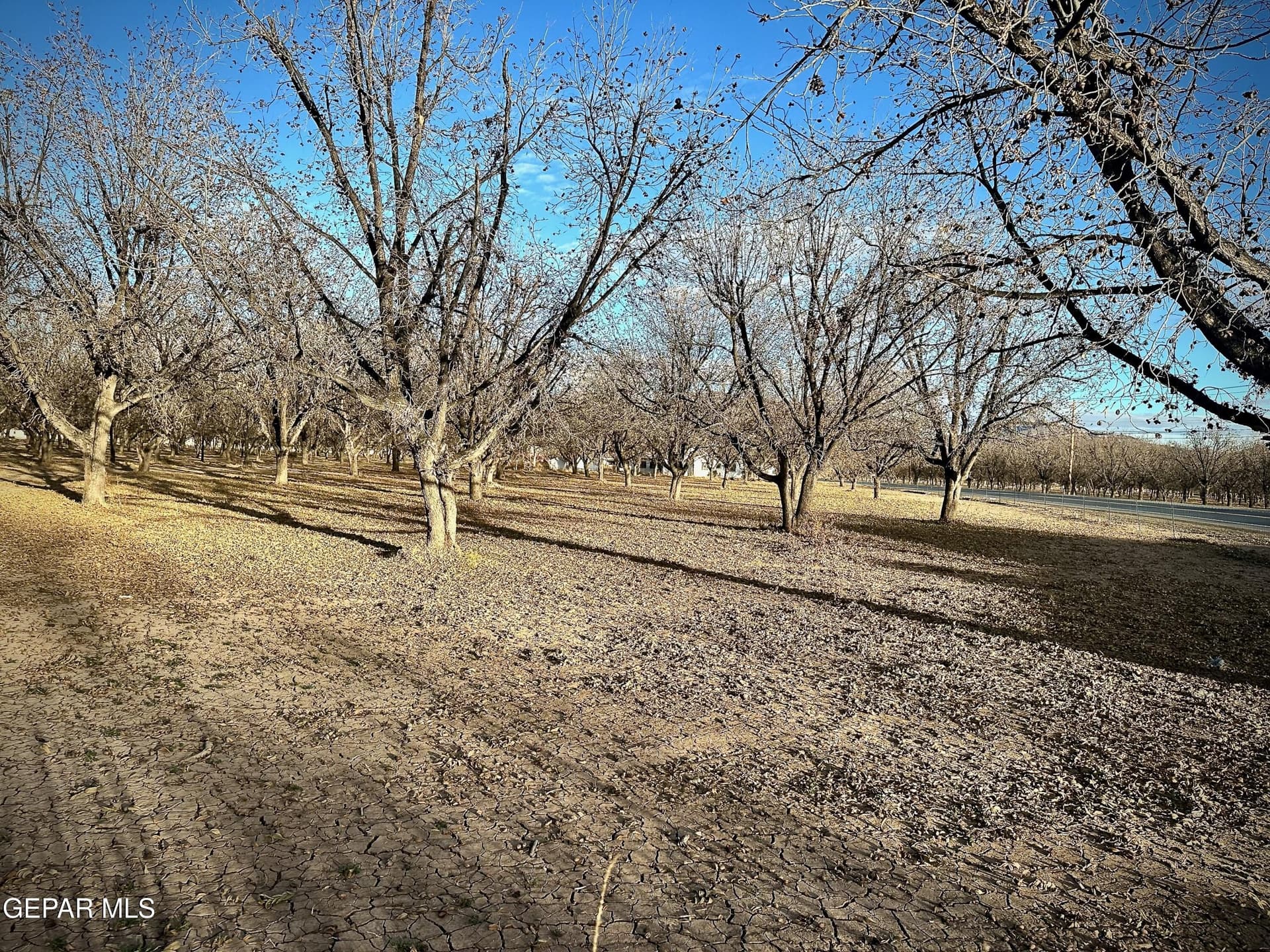 32.14 acres in El Paso County featured view