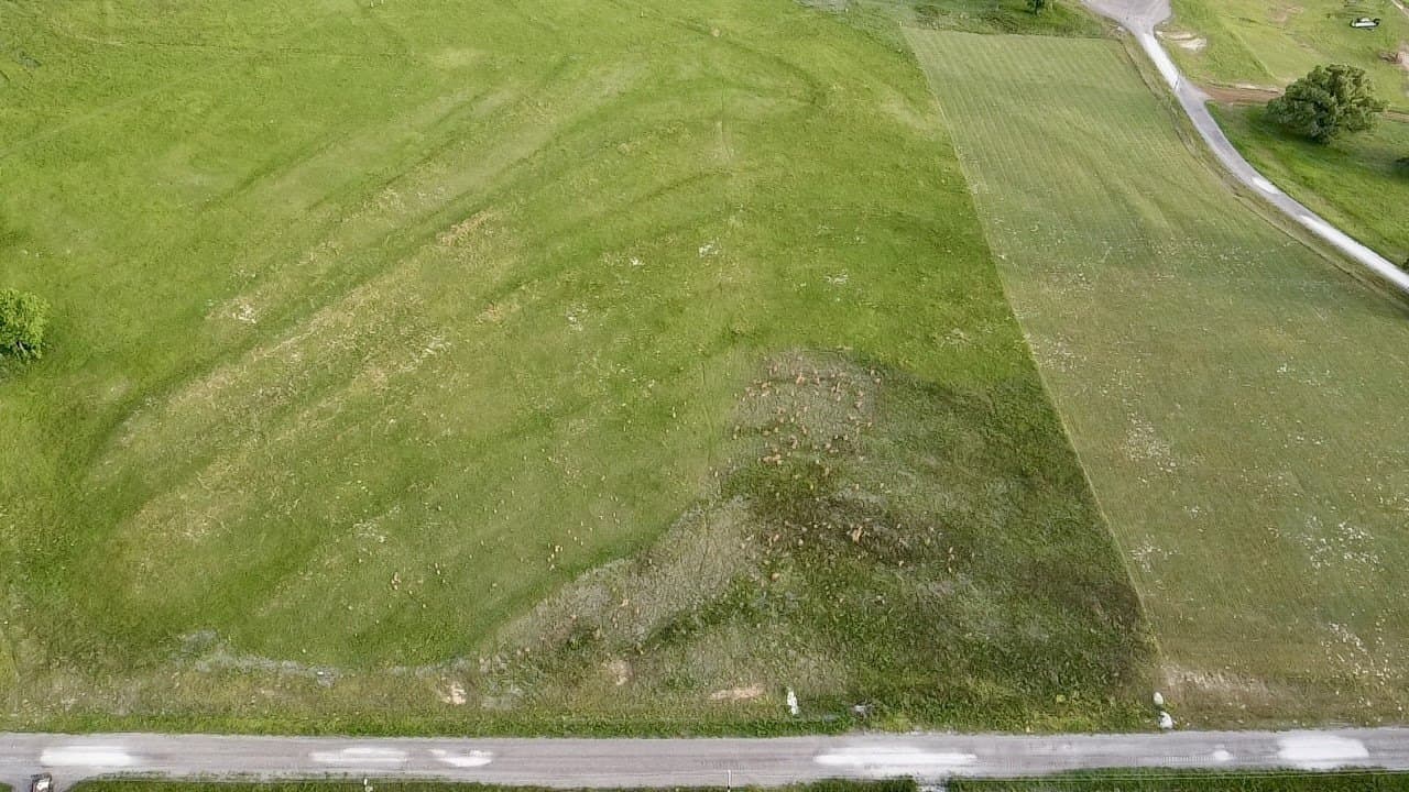 4.01 acres in Upshur County featured view