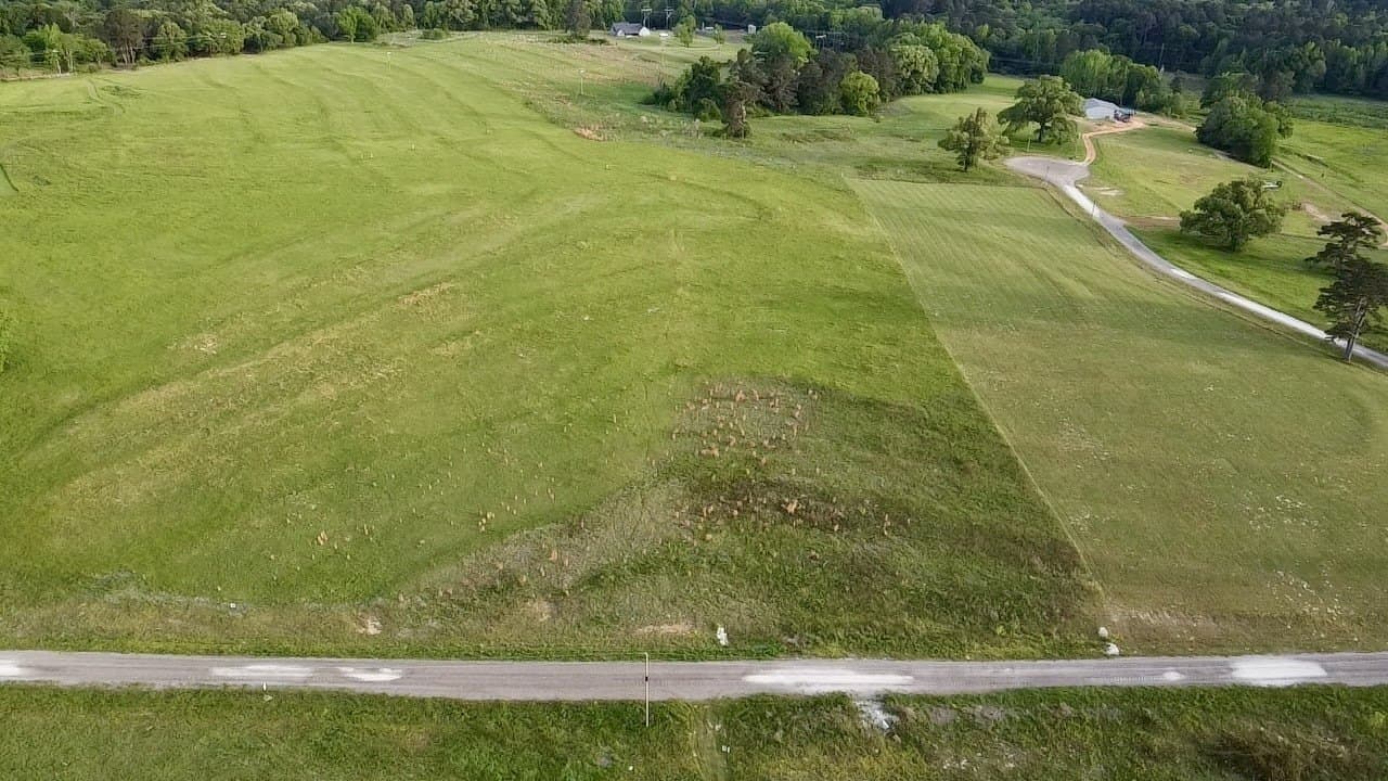 4.01 acres in Upshur County gallery image 3