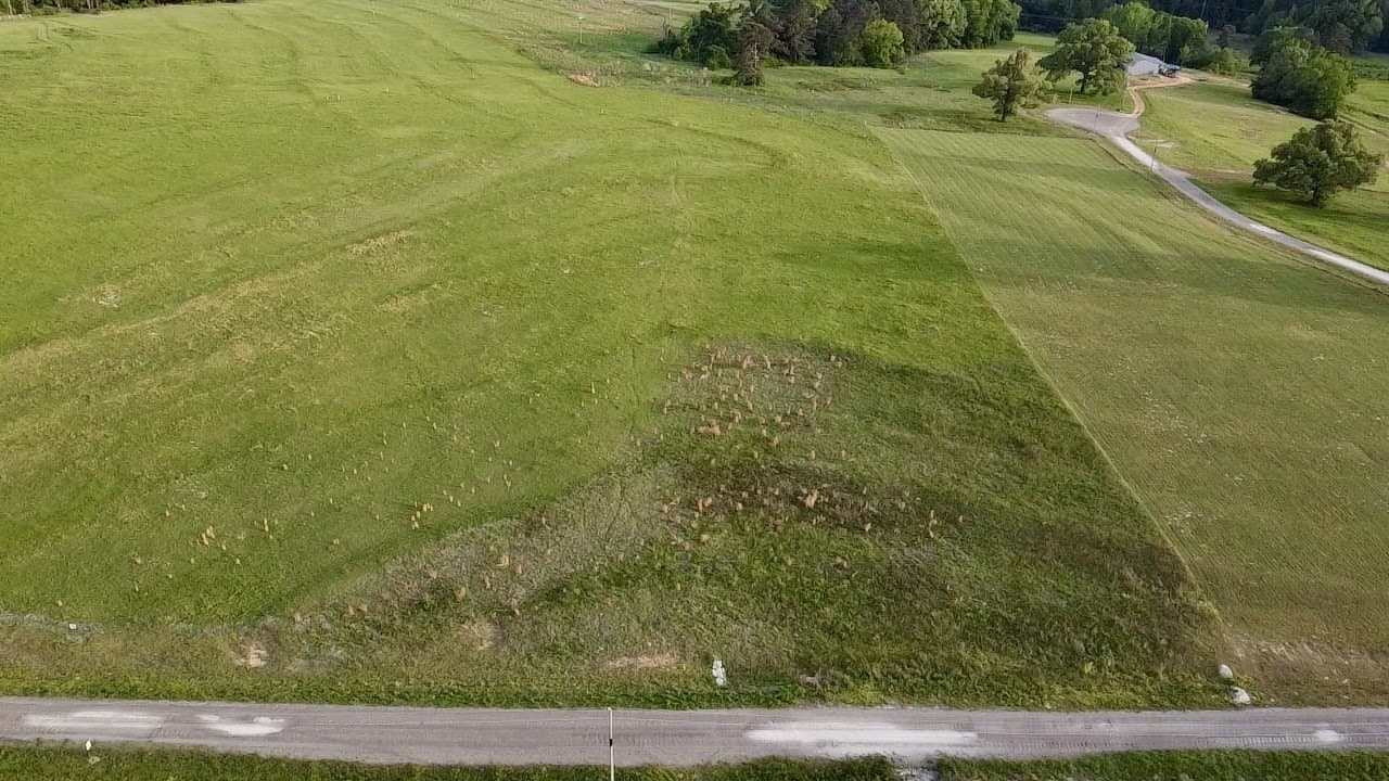4.01 acres in Upshur County gallery image 2