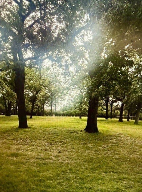 0.48 acres in Tarrant County - photo 2