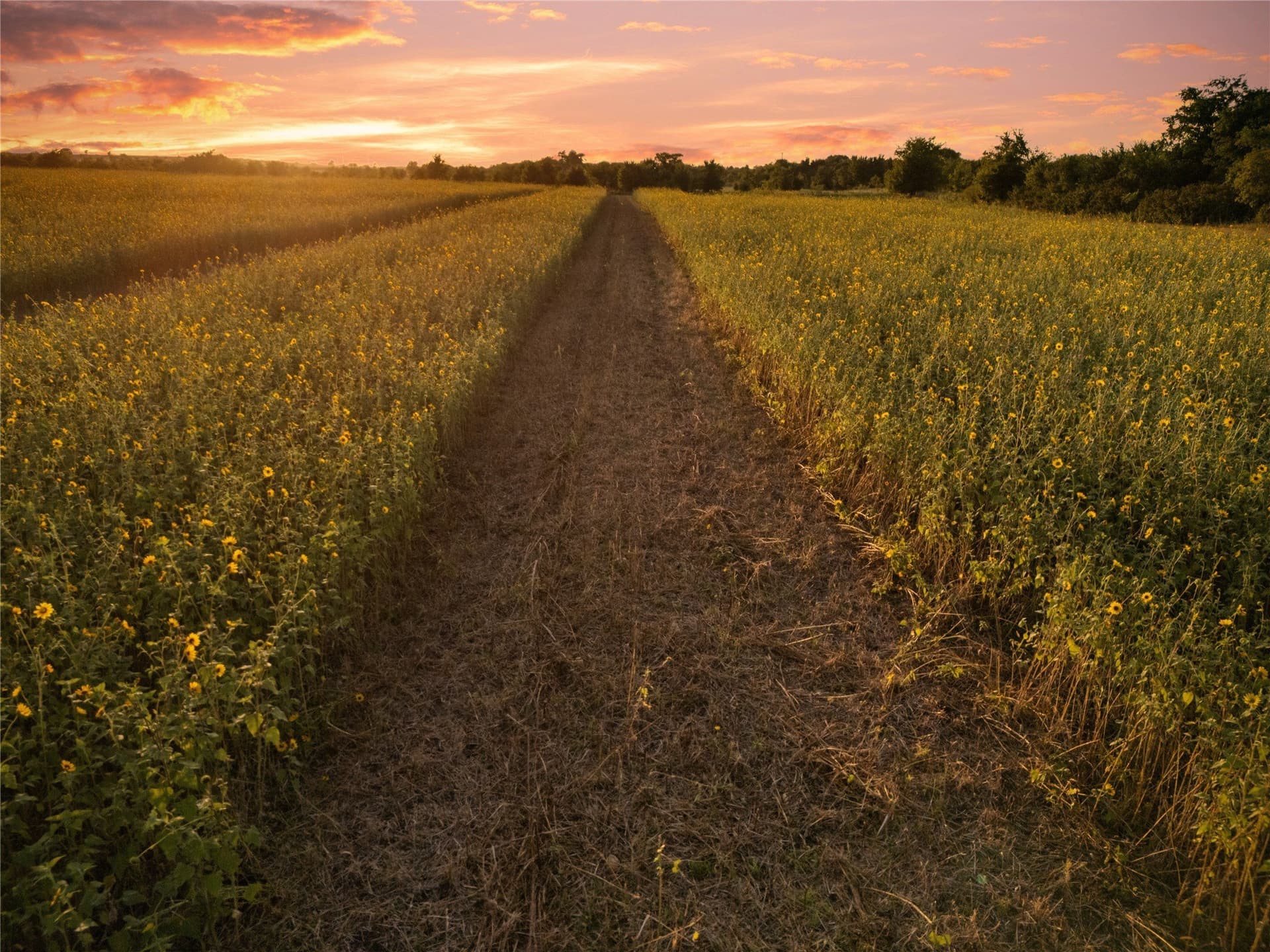 488 acres in Bosque County - photo 26