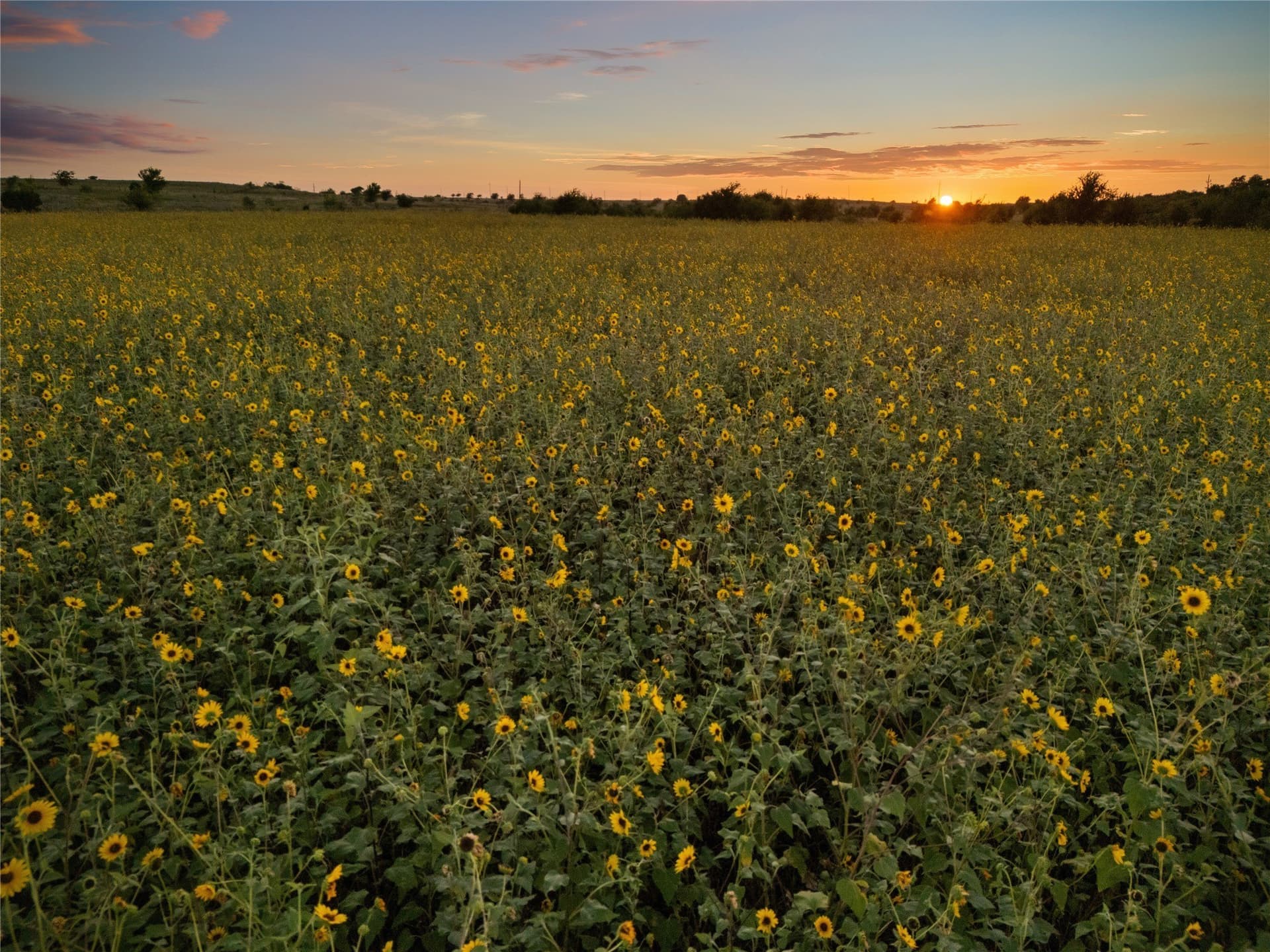 488 acres in Bosque County - photo 18