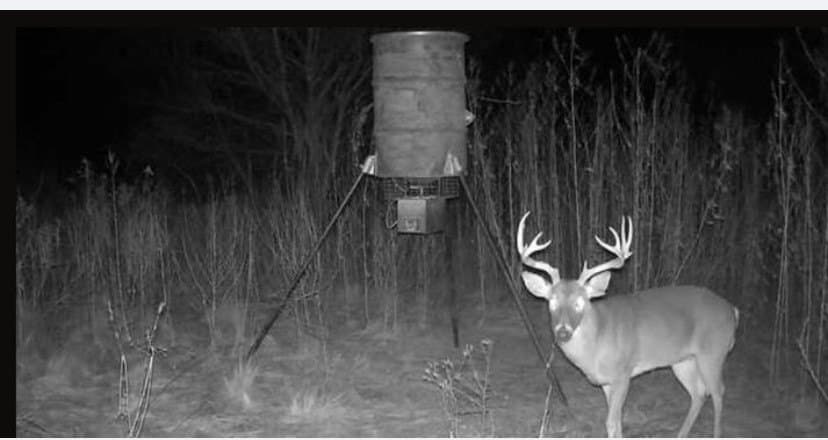 488 acres in Bosque County - photo 40