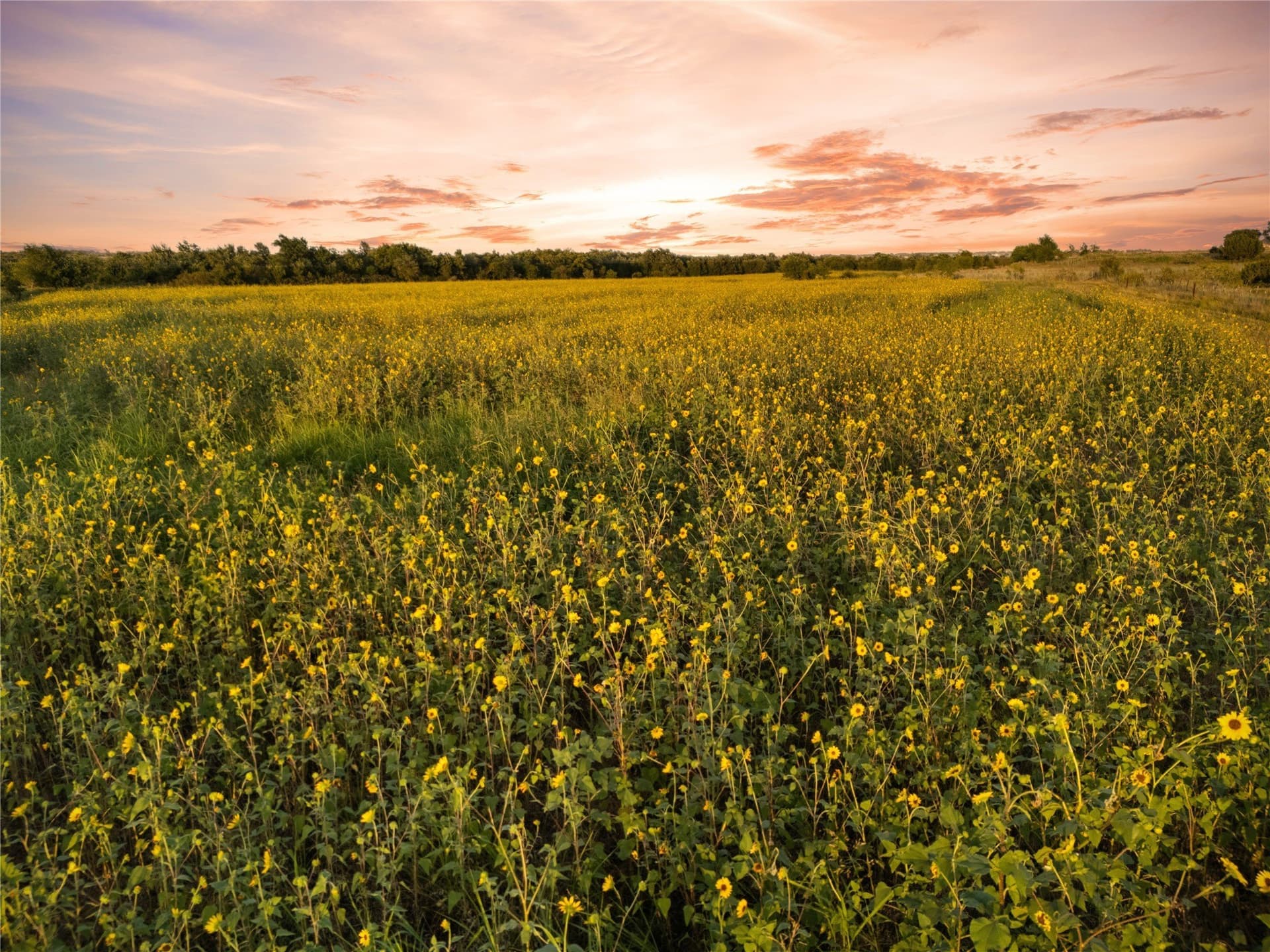 488 acres in Bosque County - photo 27