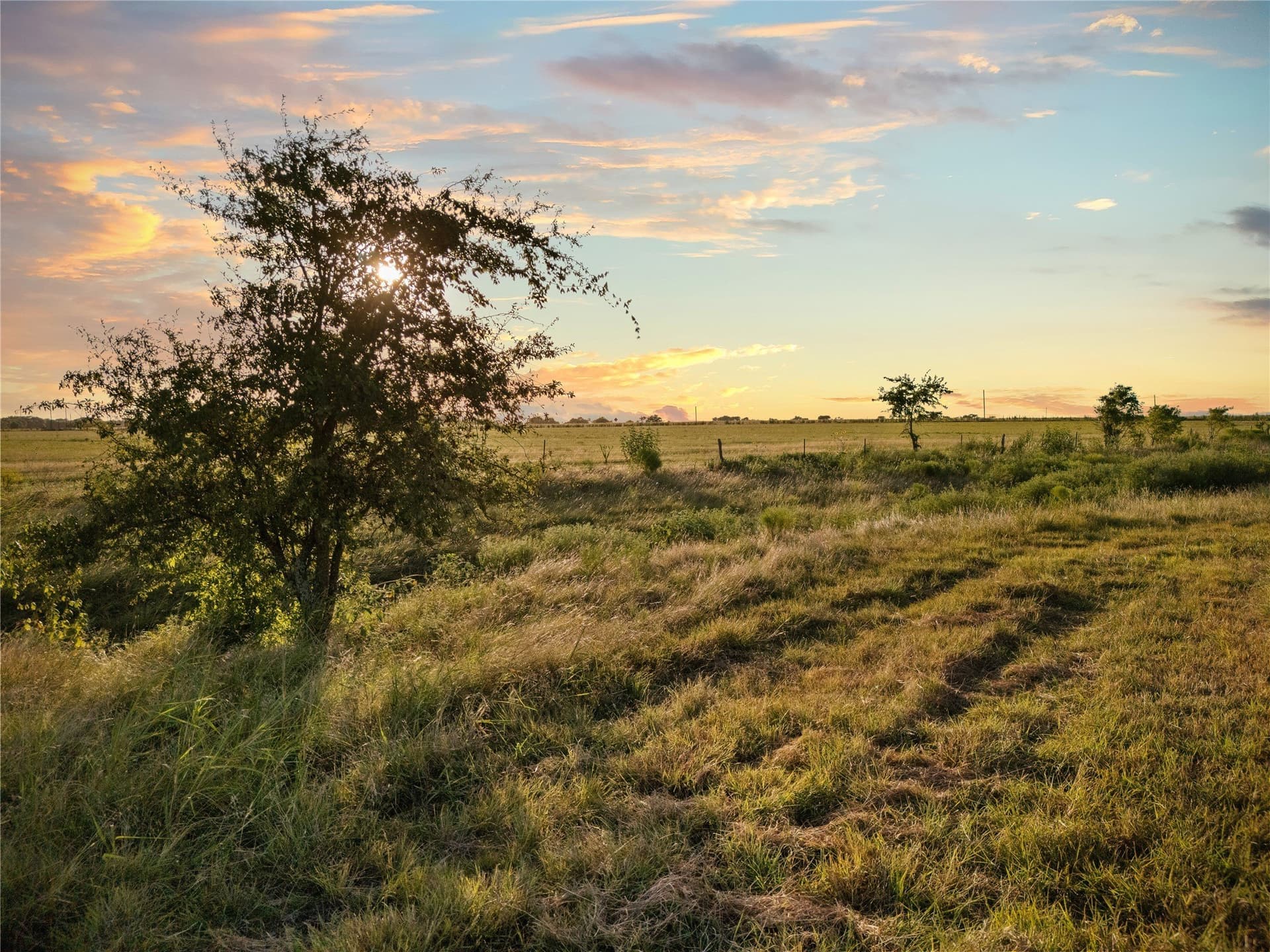 488 acres in Bosque County - photo 17