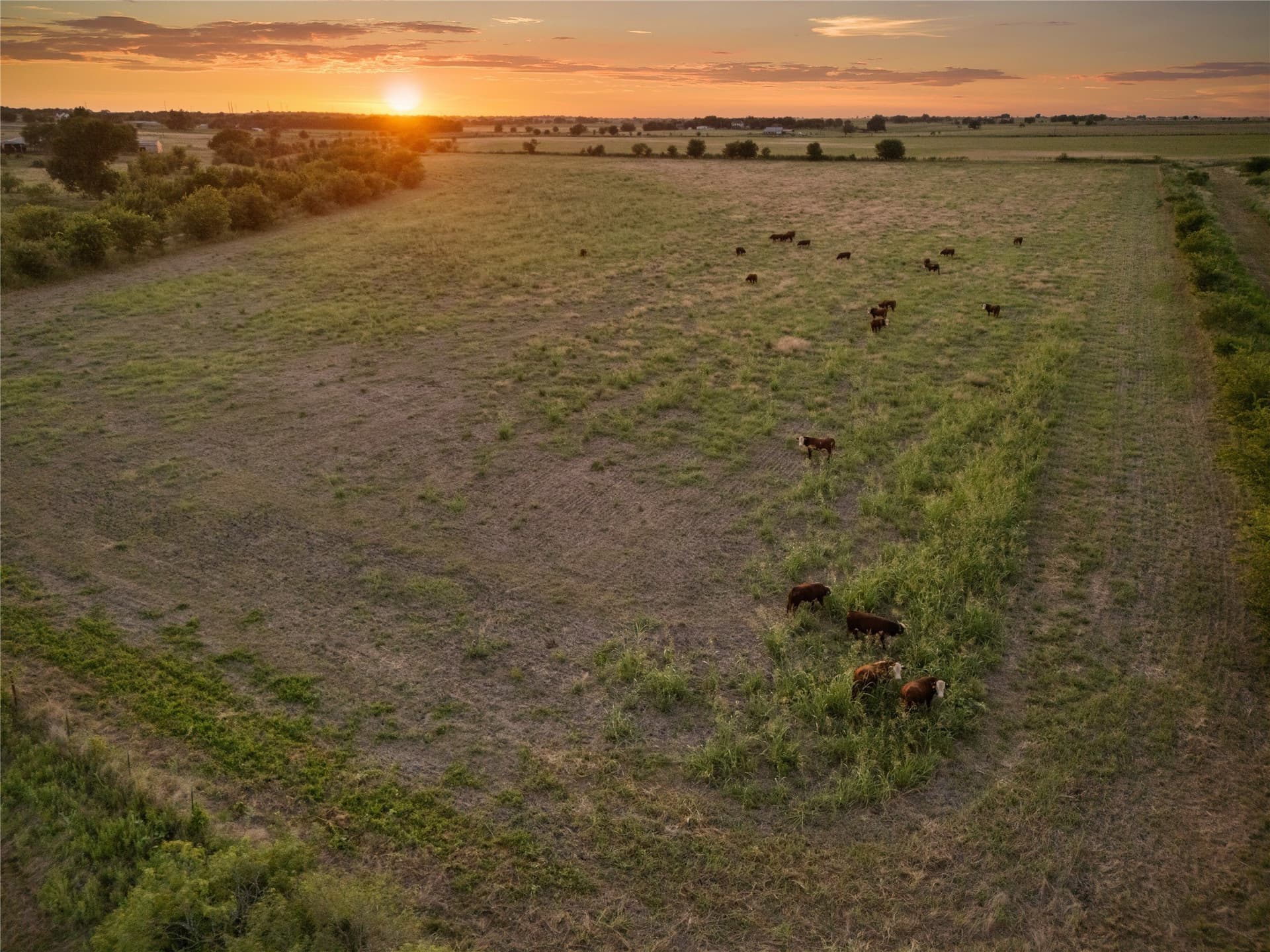 488 acres in Bosque County - photo 35
