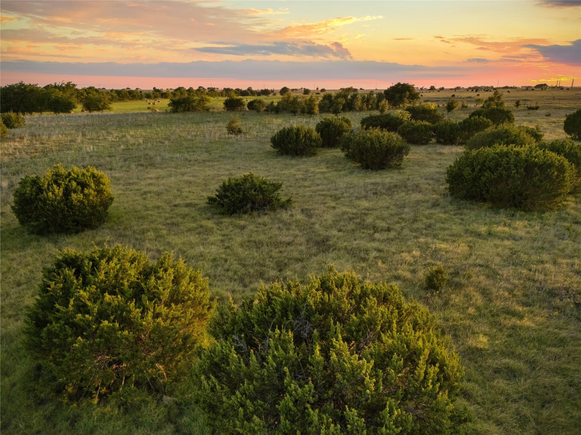 488 acres in Bosque County - photo 28