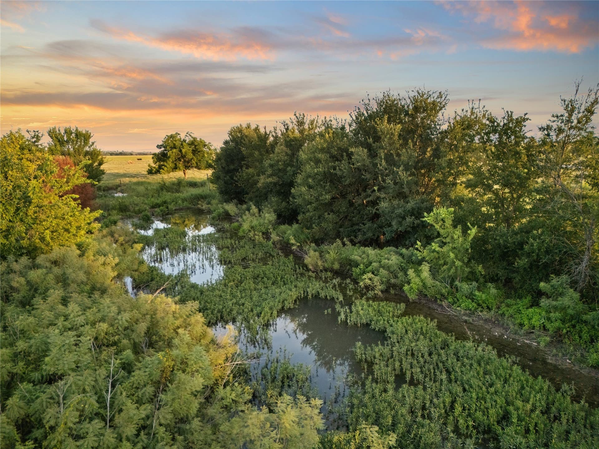 488 acres in Bosque County - photo 10