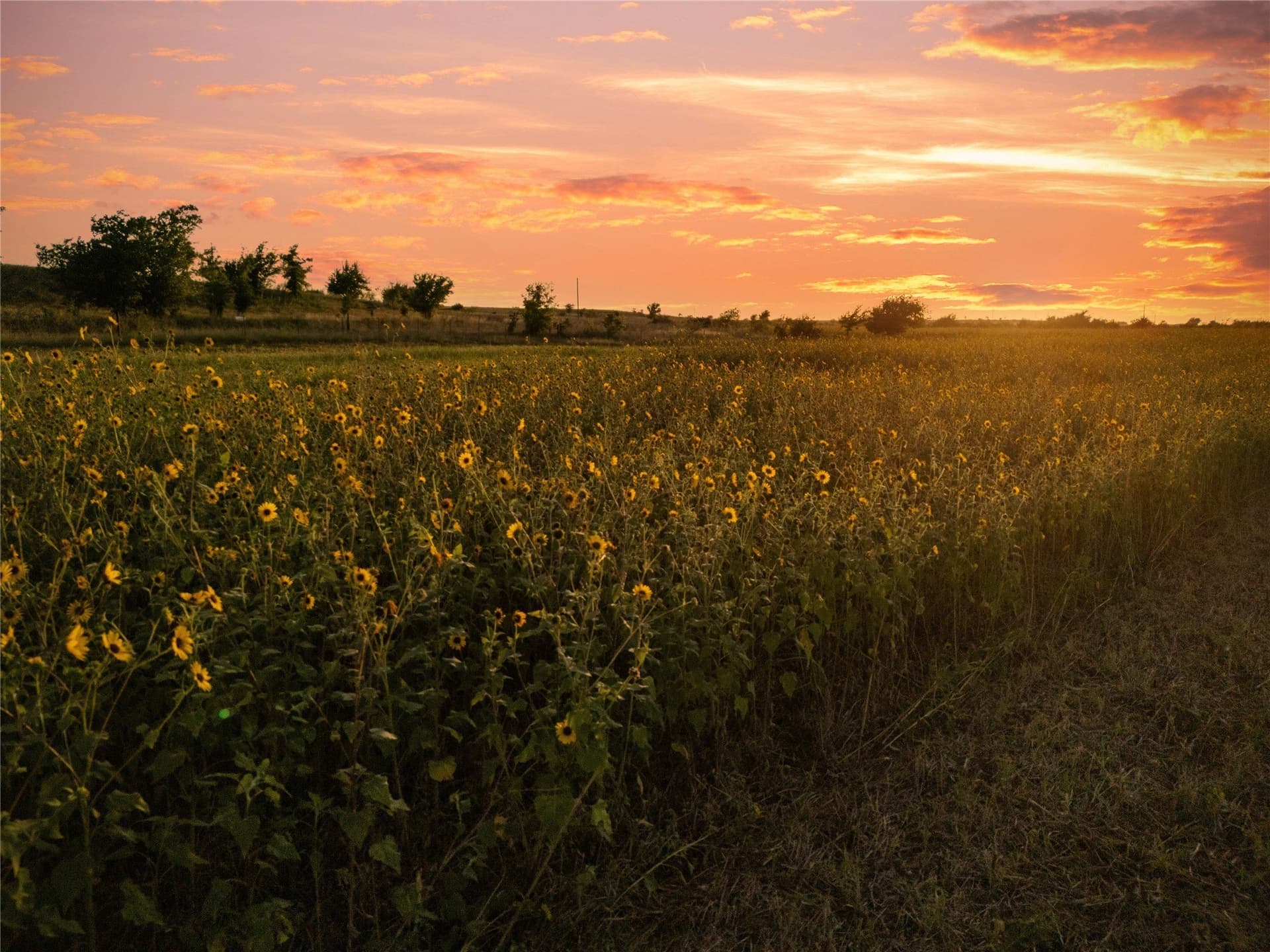 488 acres in Bosque County - photo 25