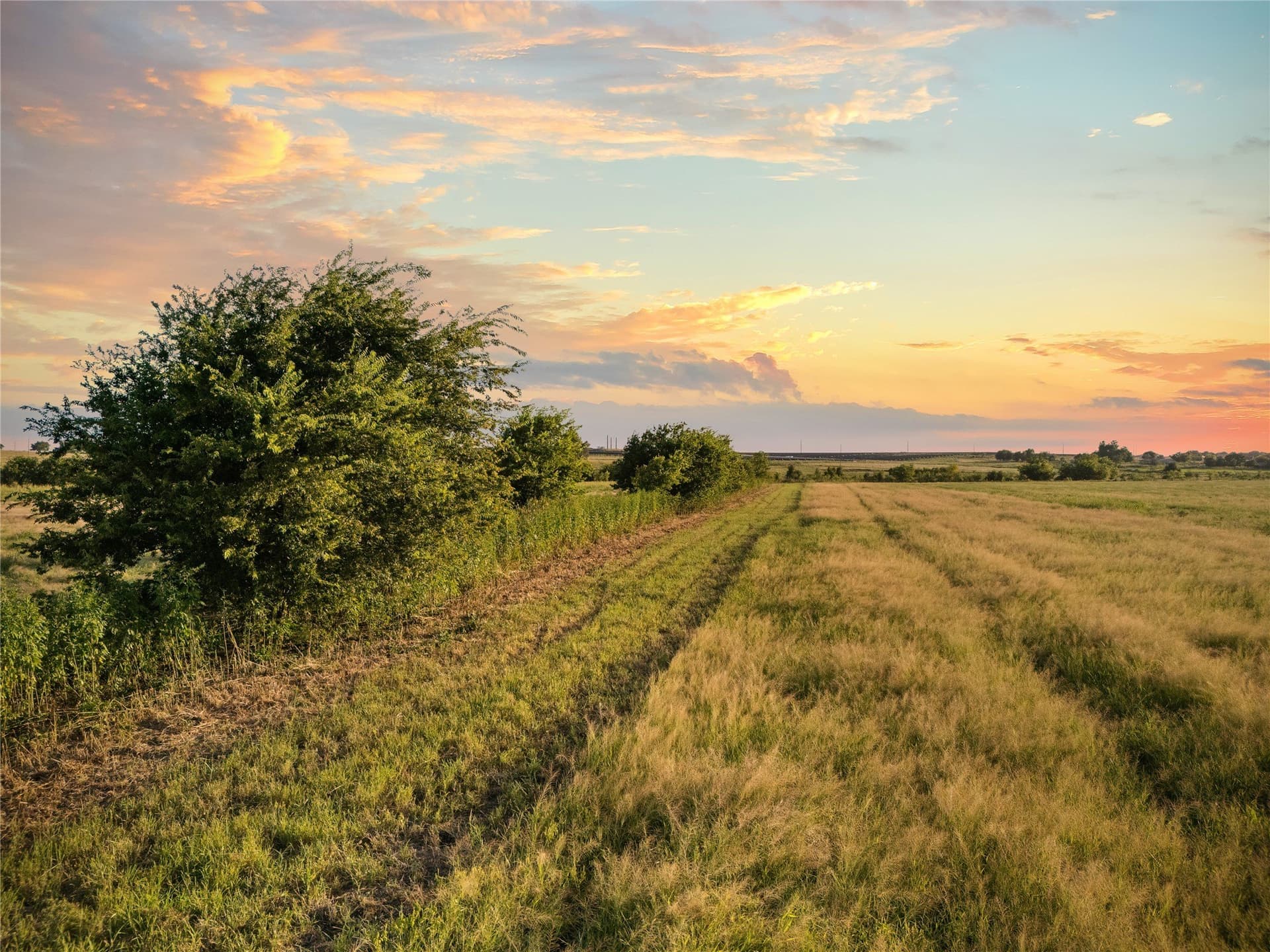 488 acres in Bosque County - photo 13