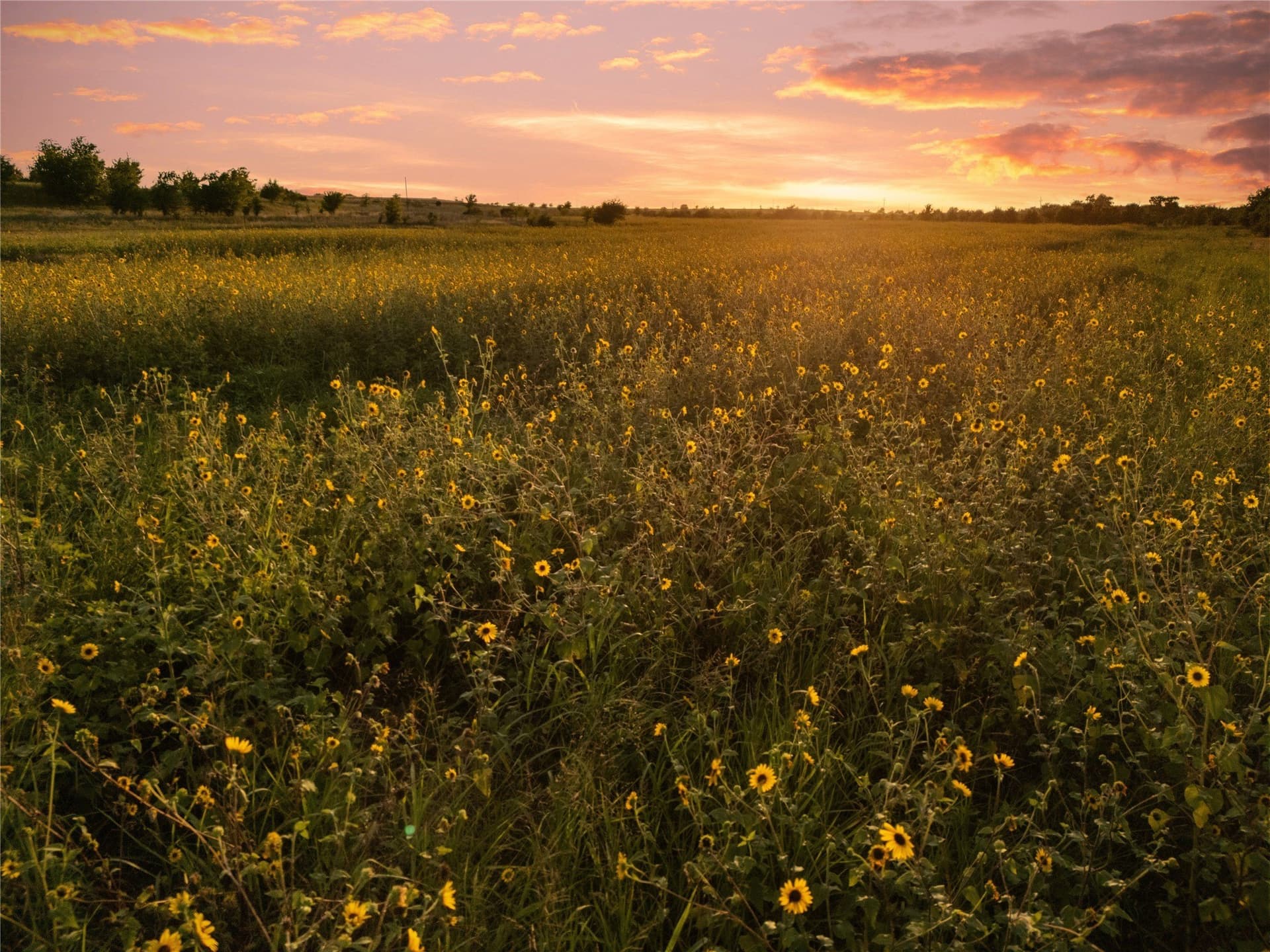 488 acres in Bosque County - photo 24