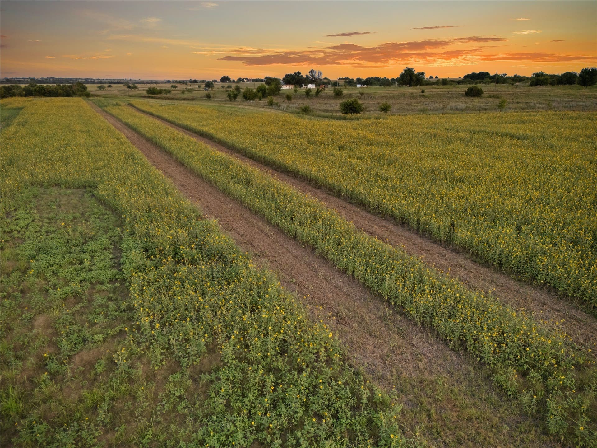 488 acres in Bosque County - photo 14