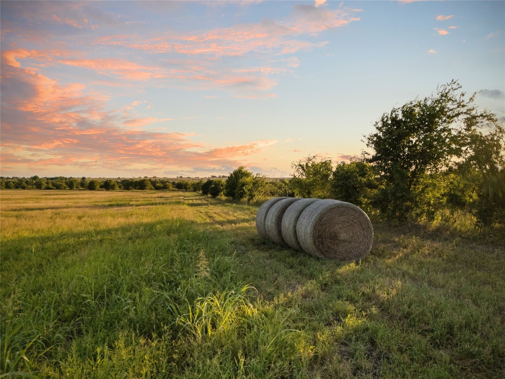 488 acres in Bosque County - photo 8