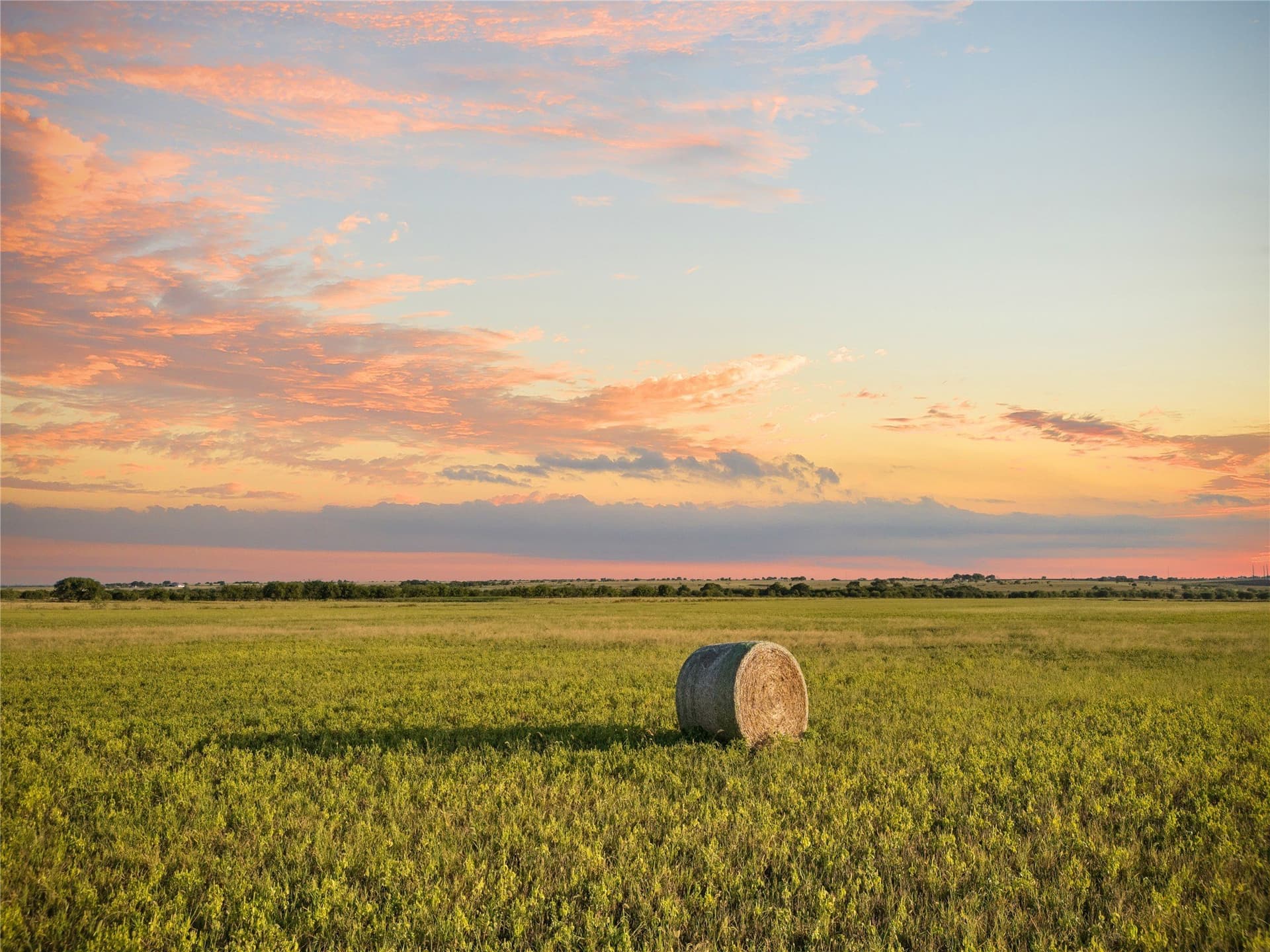 488 acres in Bosque County - photo 6
