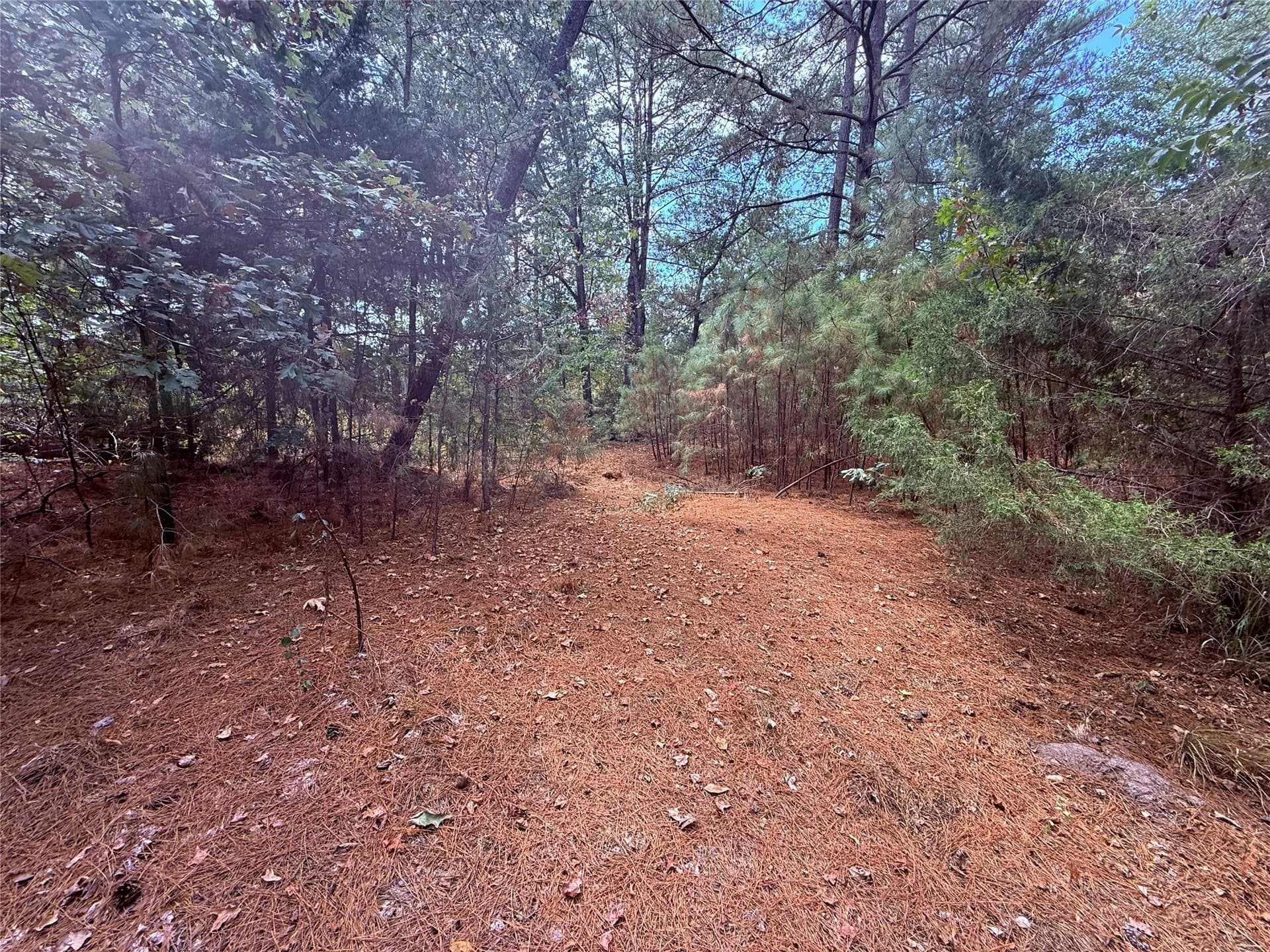43.5 acres in Wood County - photo 7