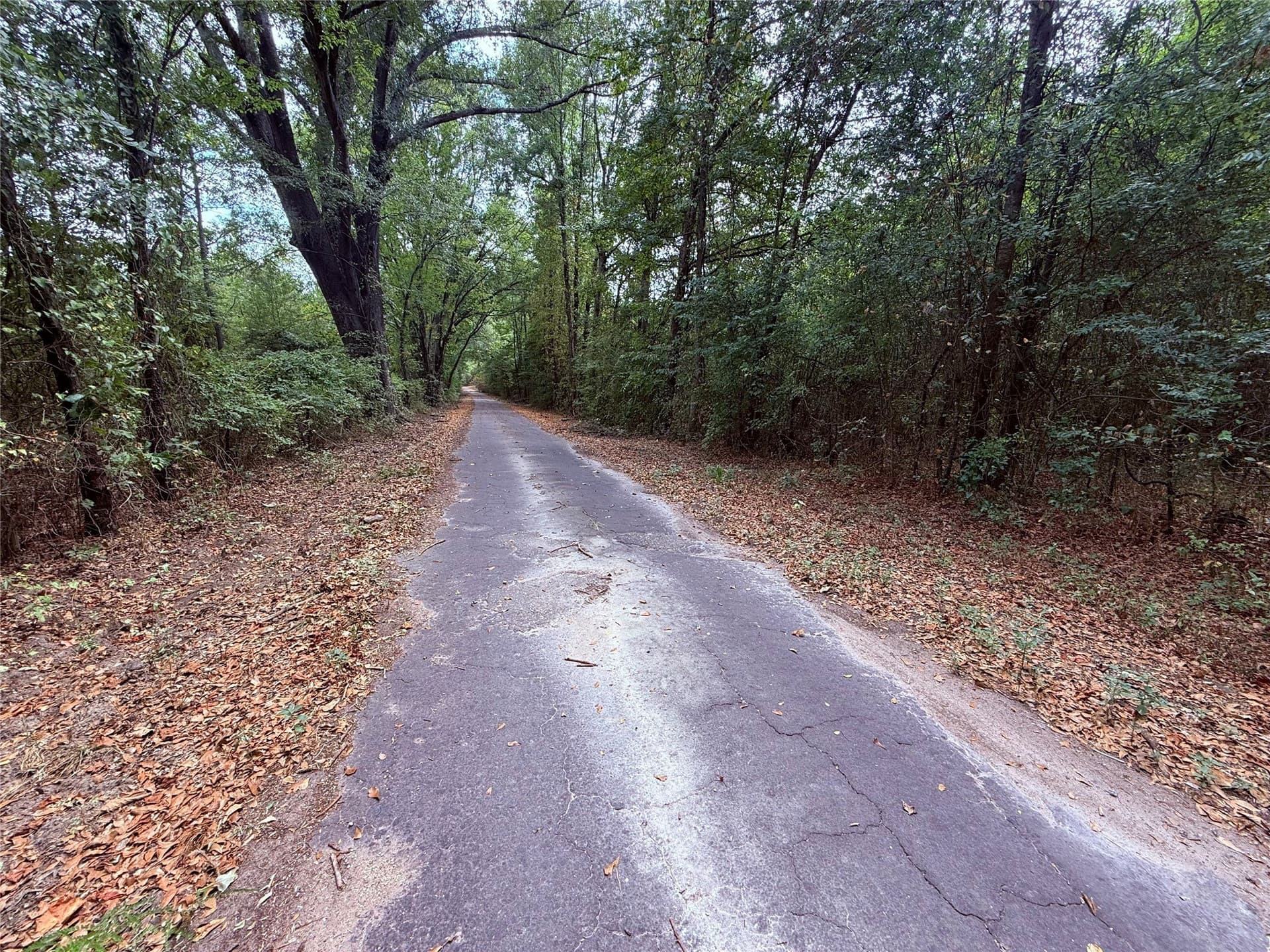 43.5 acres in Wood County - photo 2