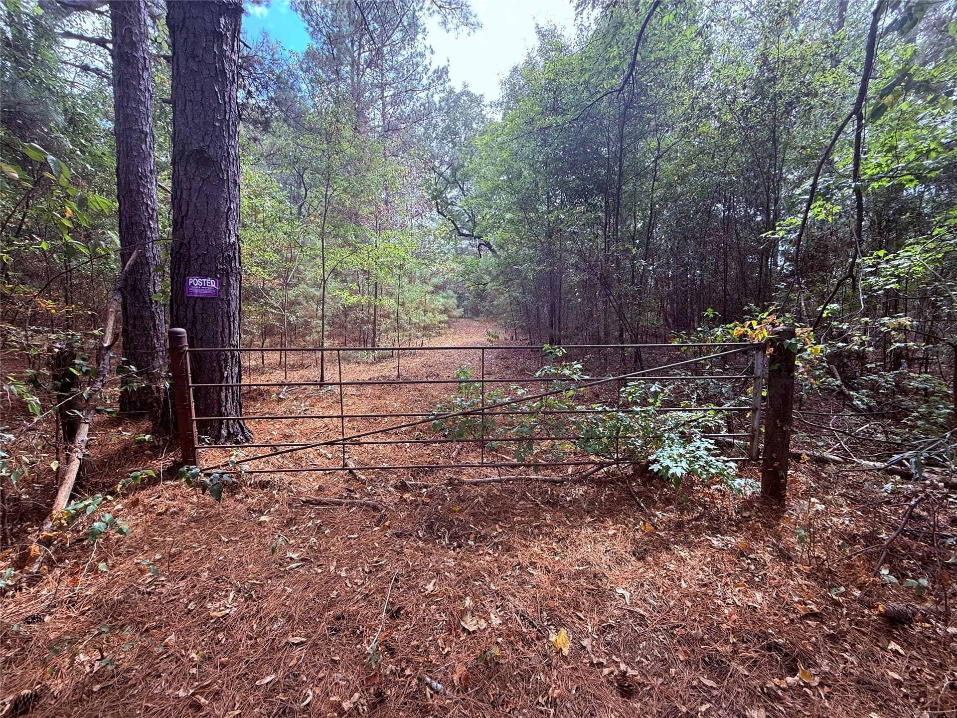 43.5 acres in Wood County - photo 4
