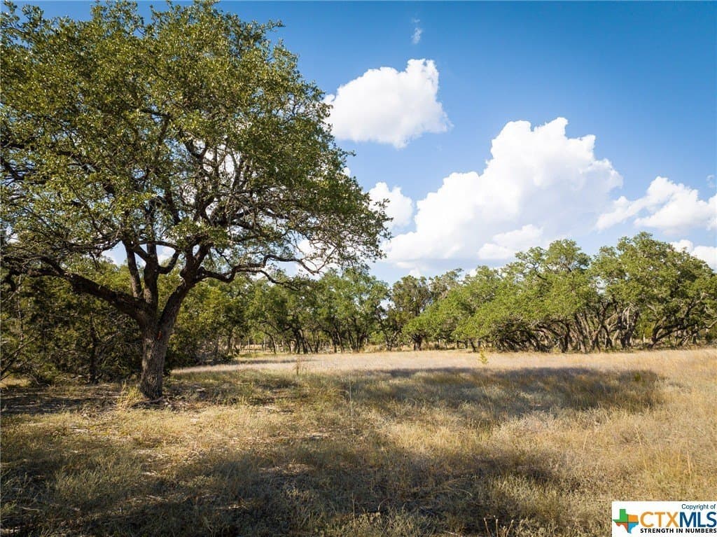 2.21 acres in Comal County - photo 8