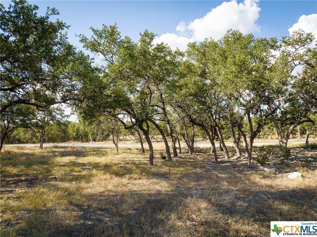 2.21 acres in Comal County - photo 10