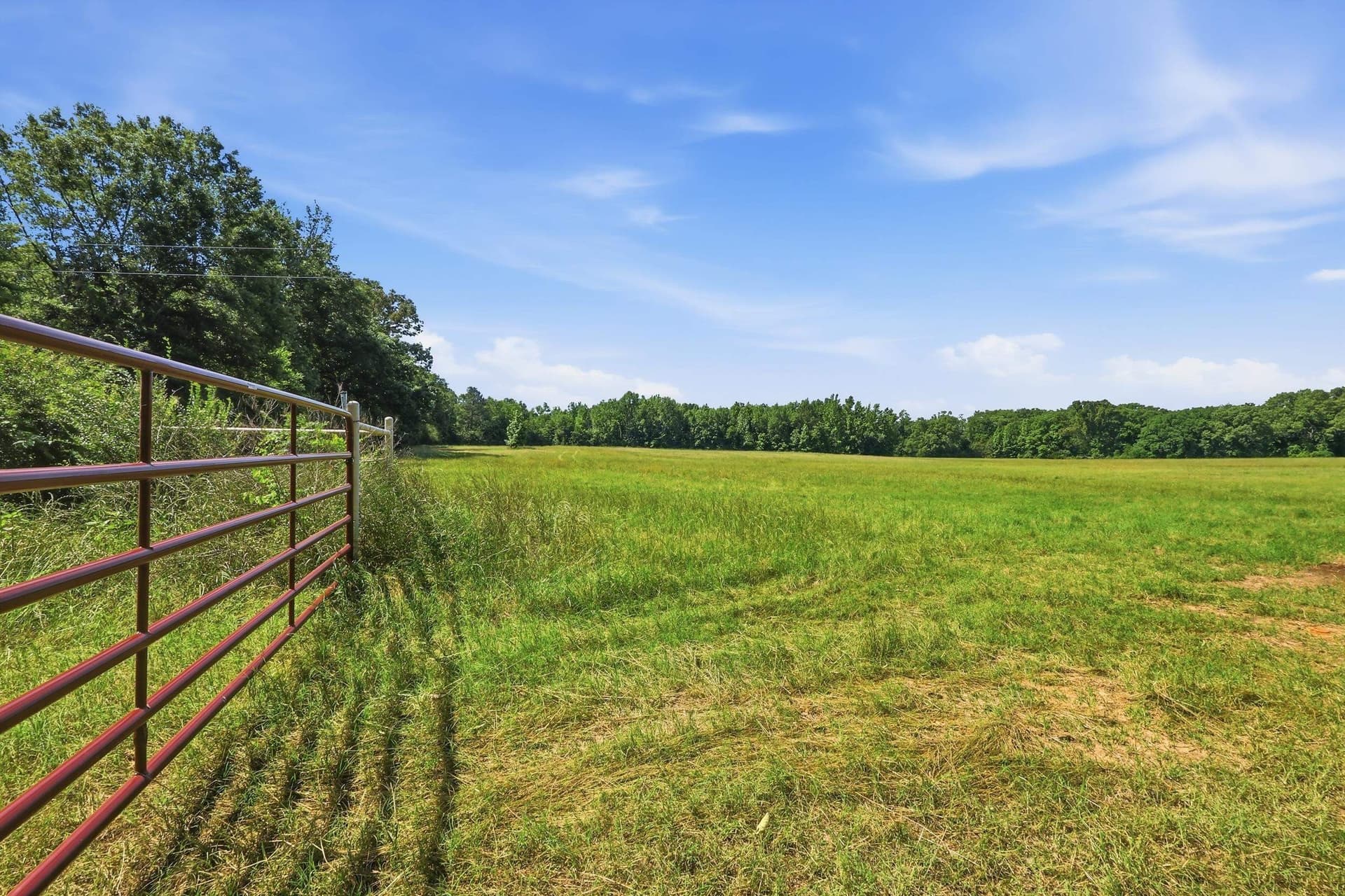 81.34 acres in Texas County gallery image 2