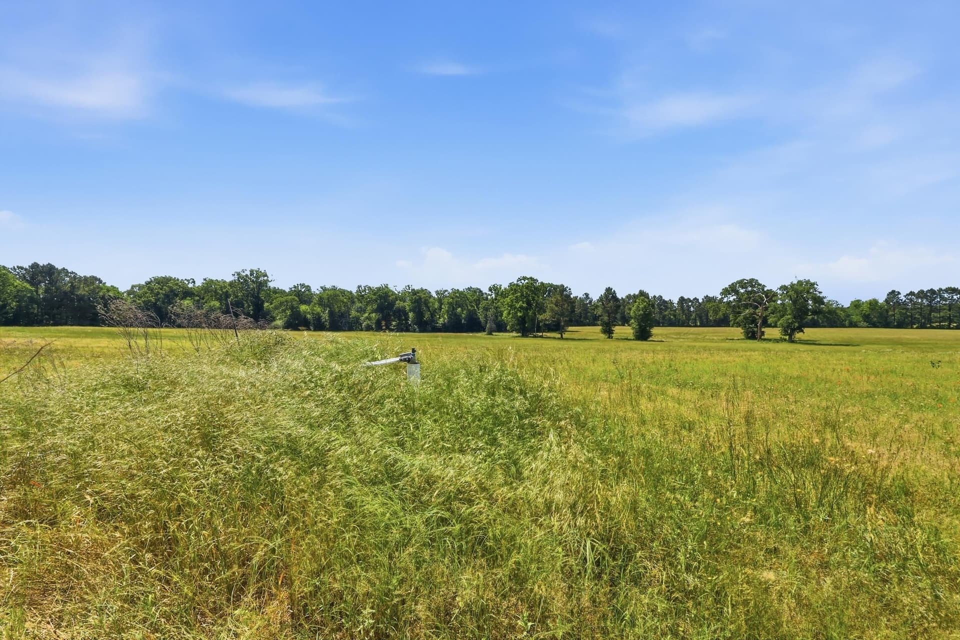 81.34 acres in Texas County featured view