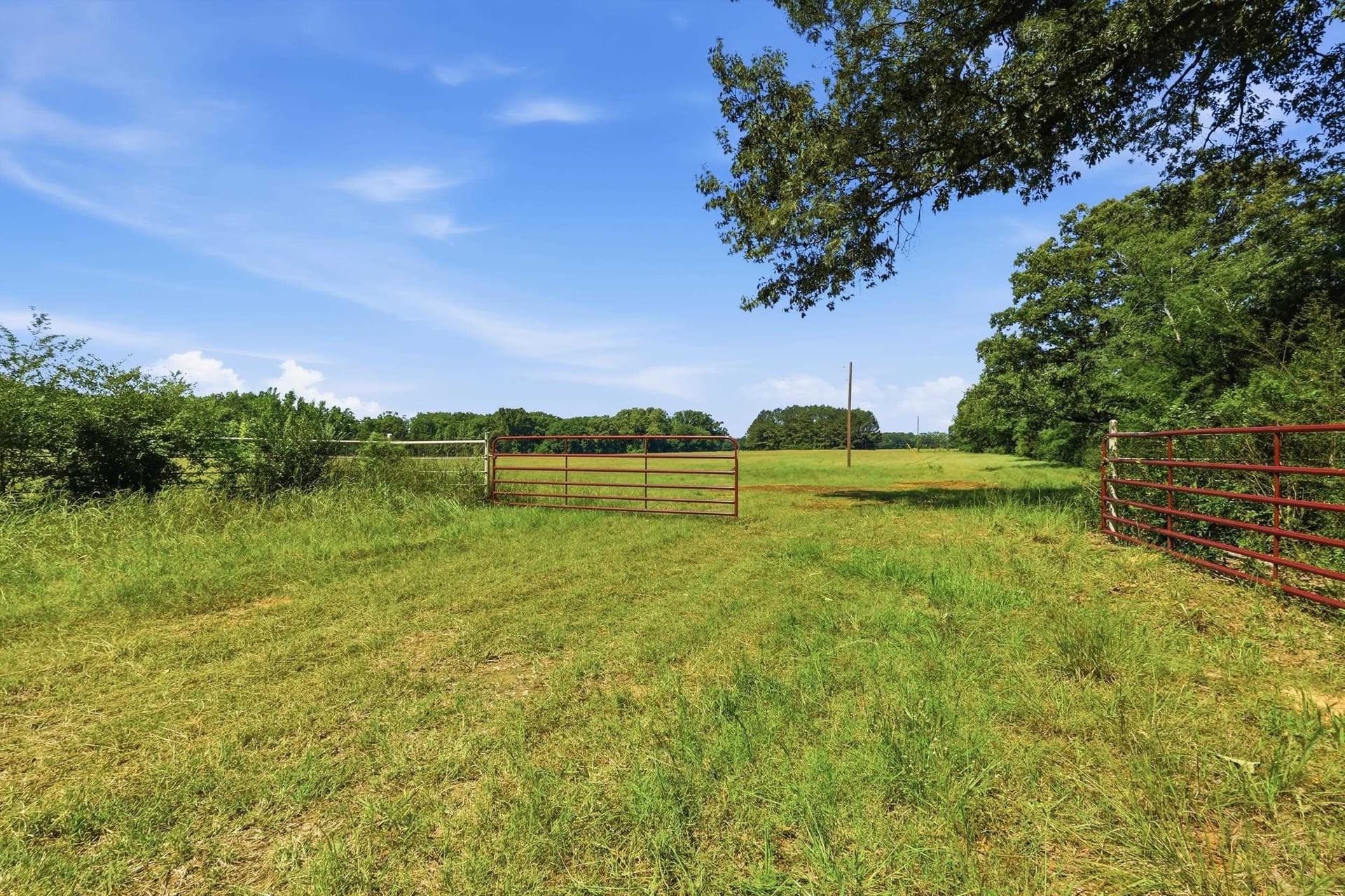 81.34 acres in Texas County gallery image 3