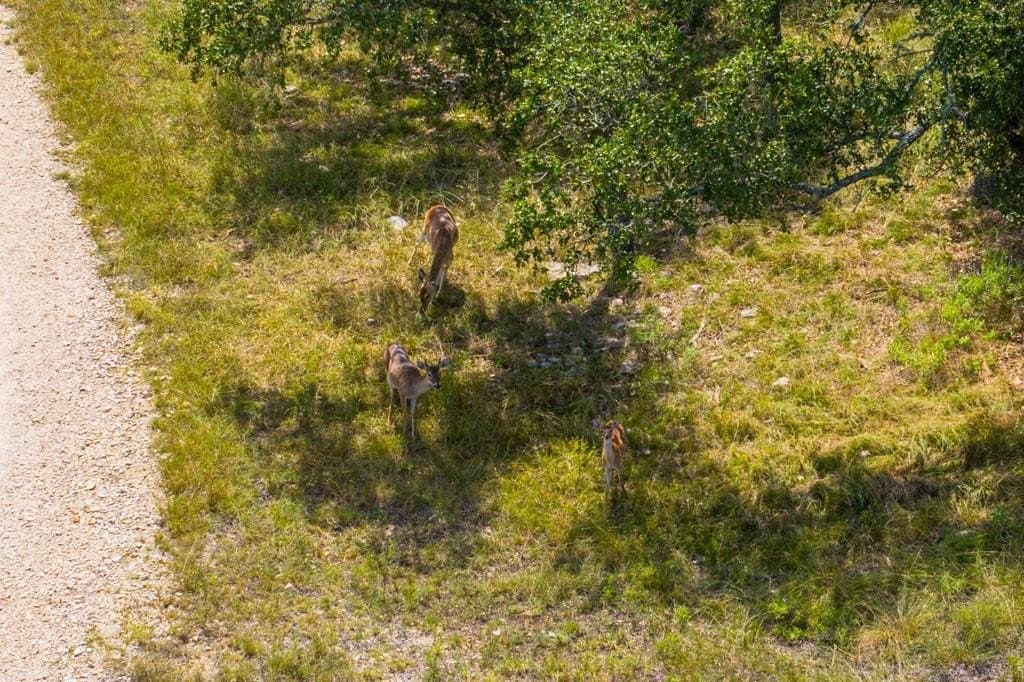 17 acres in Gillespie County - photo 10