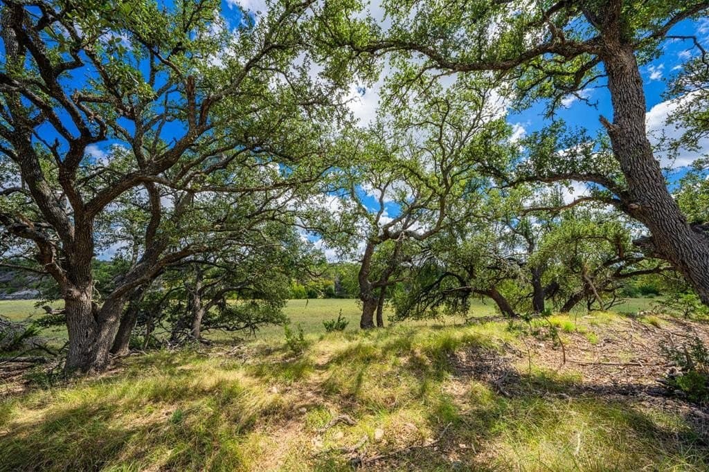 17 acres in Gillespie County - photo 12