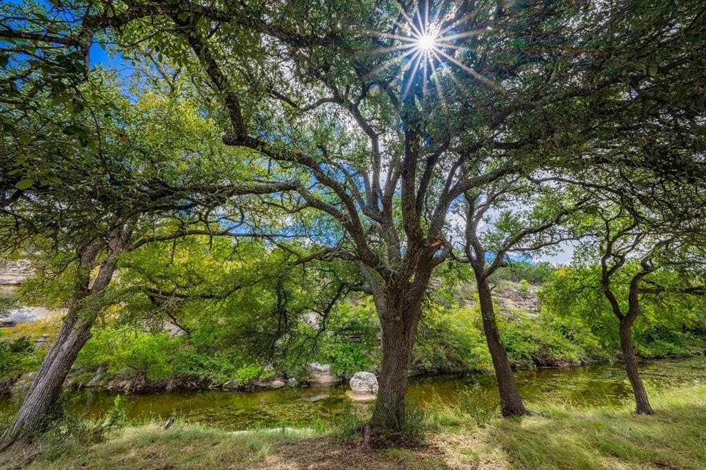 17 acres in Gillespie County - photo 11